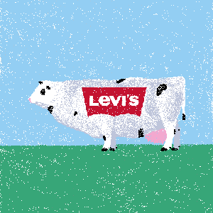 cow #31