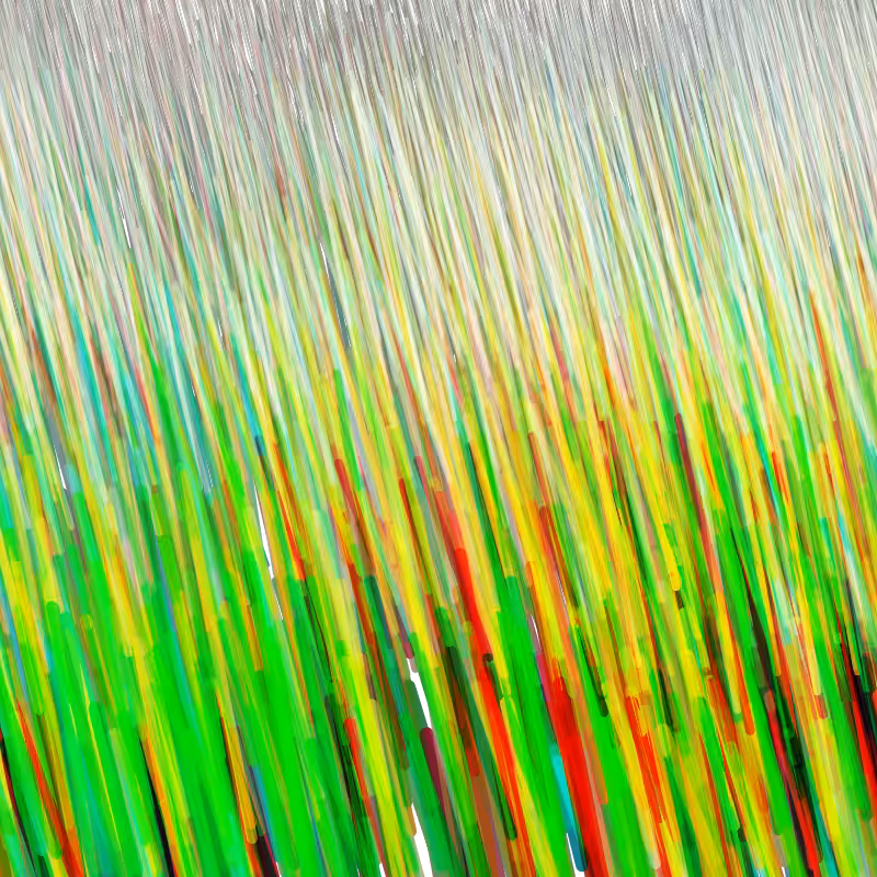 Hatch Field 002 #41