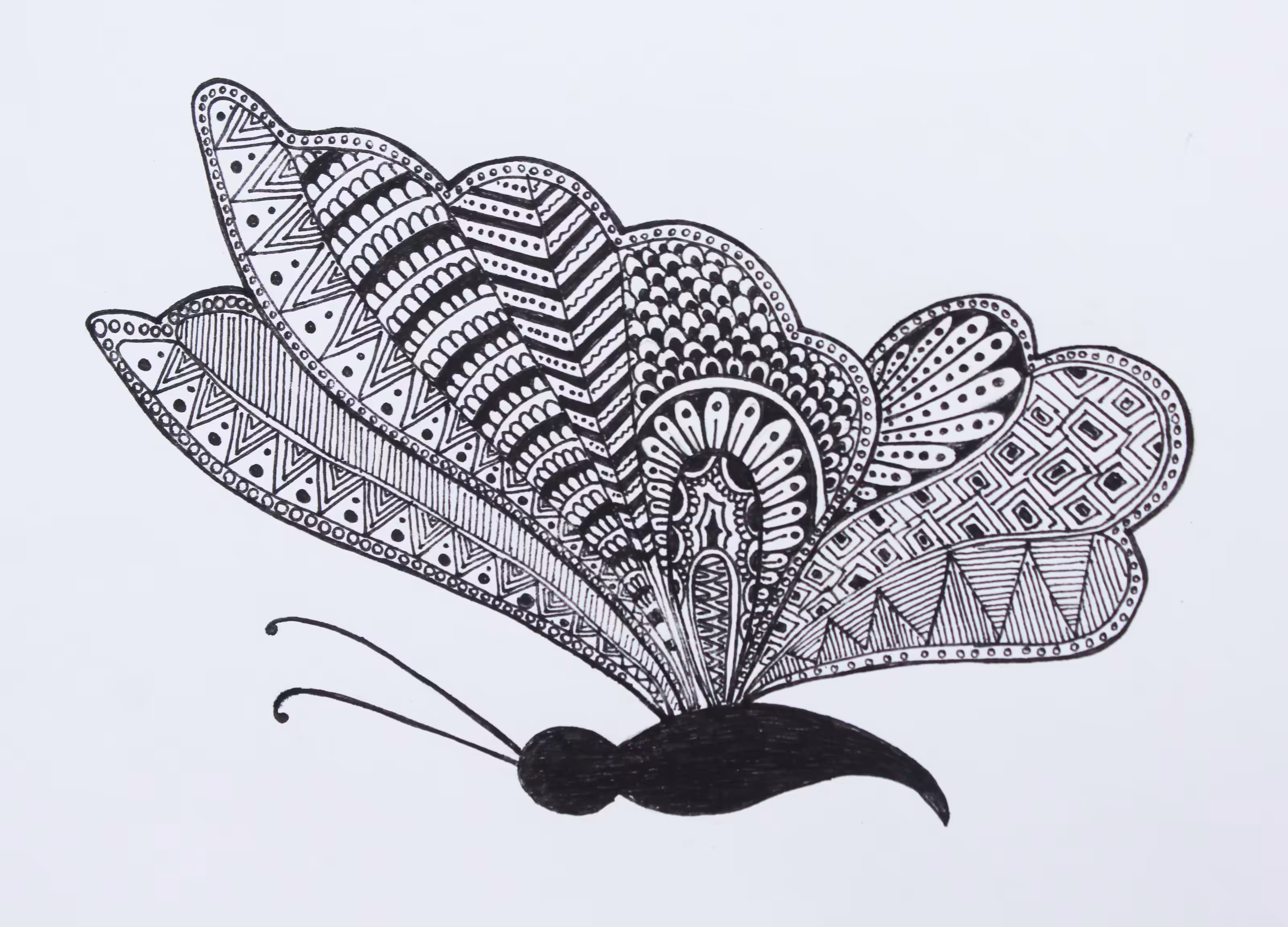 Butterfly Effect