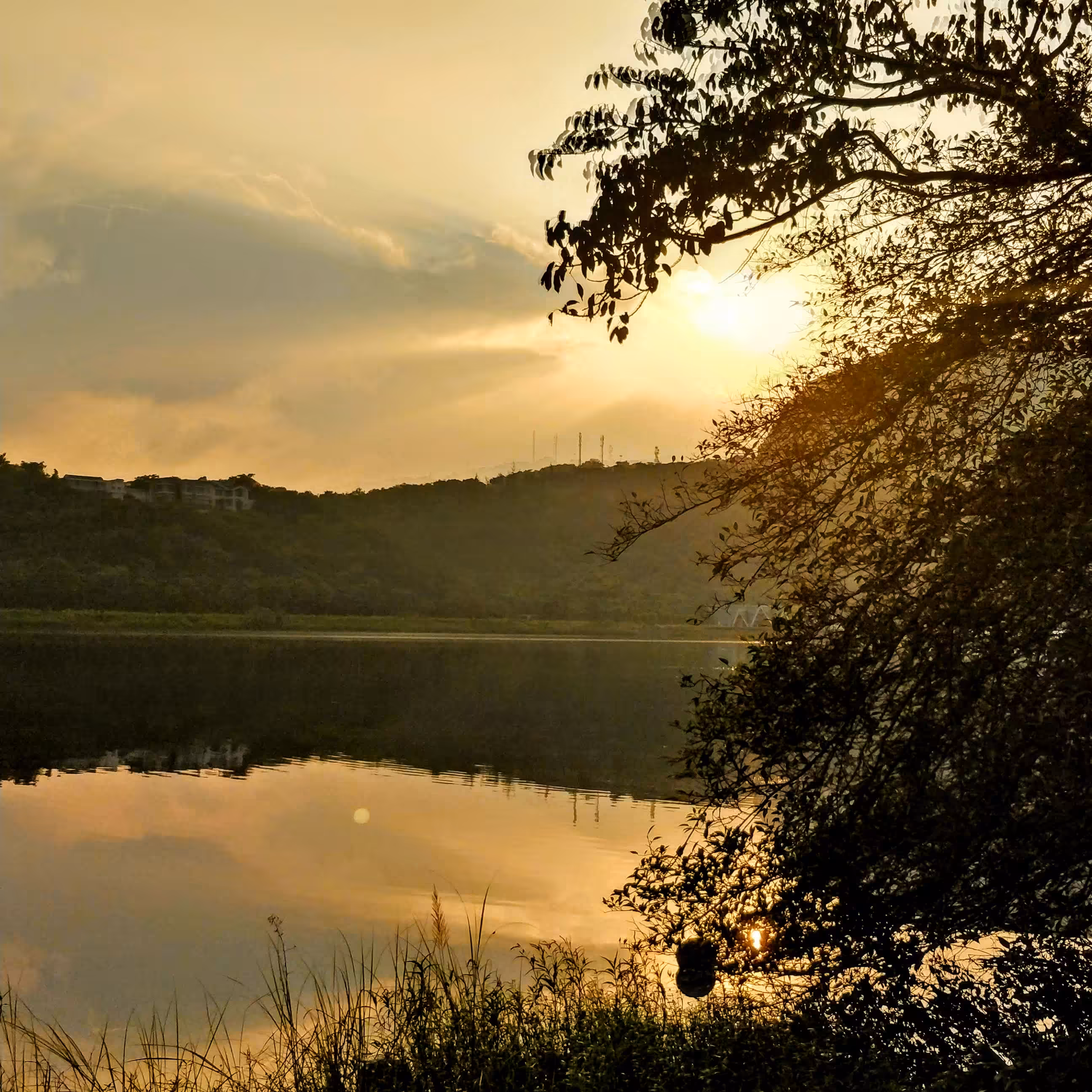 Serenity