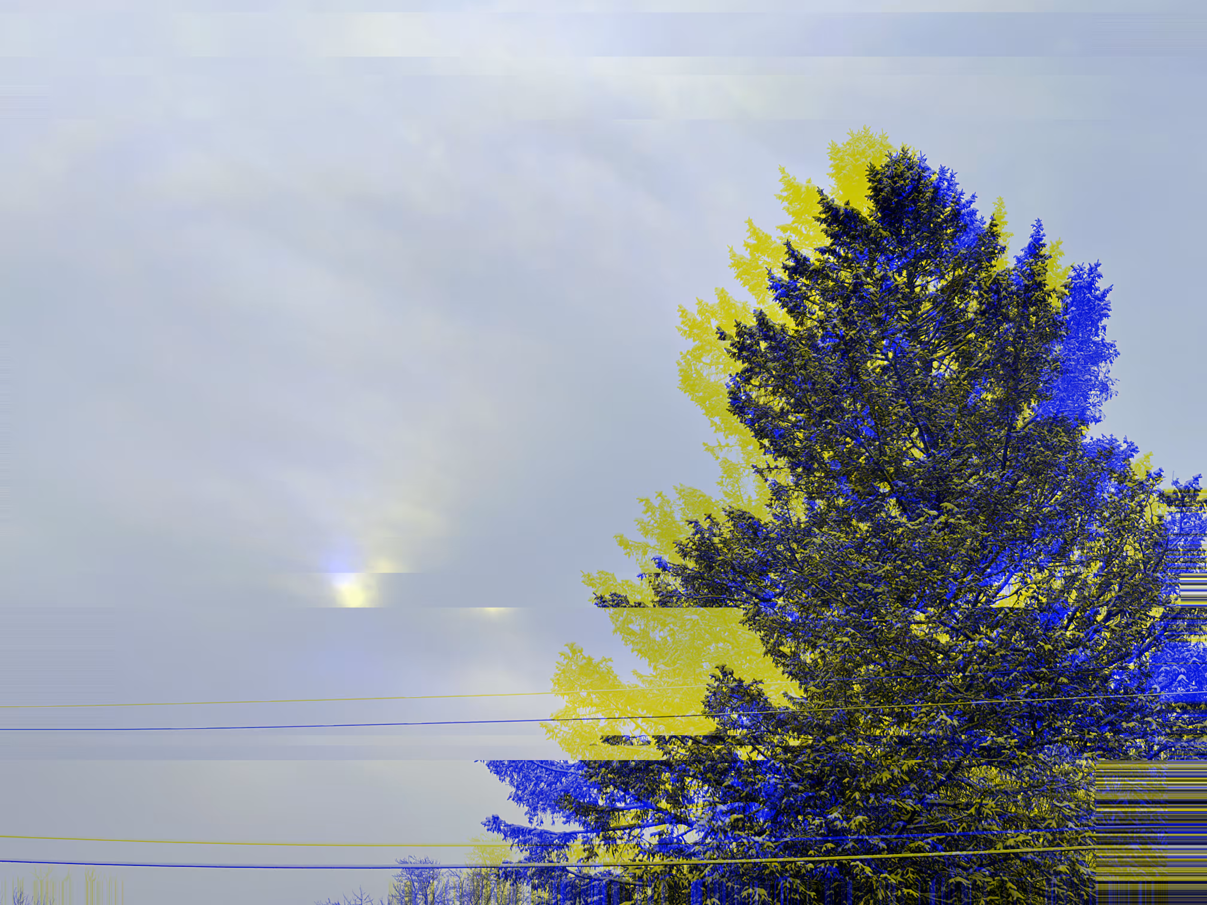 new england sunshine