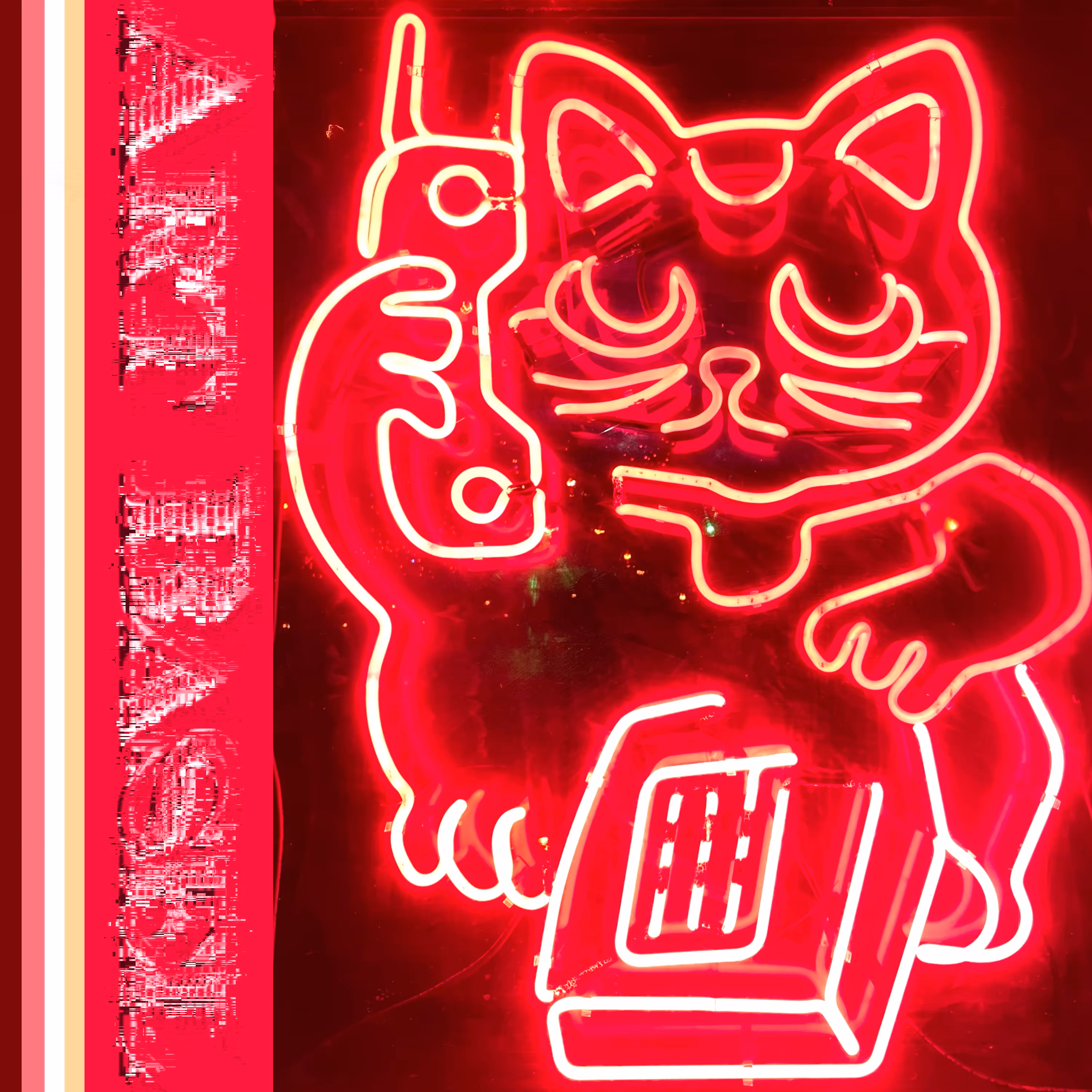 1800 Lucky Cat