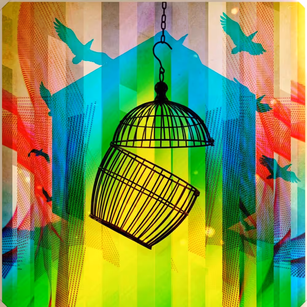 Freedom