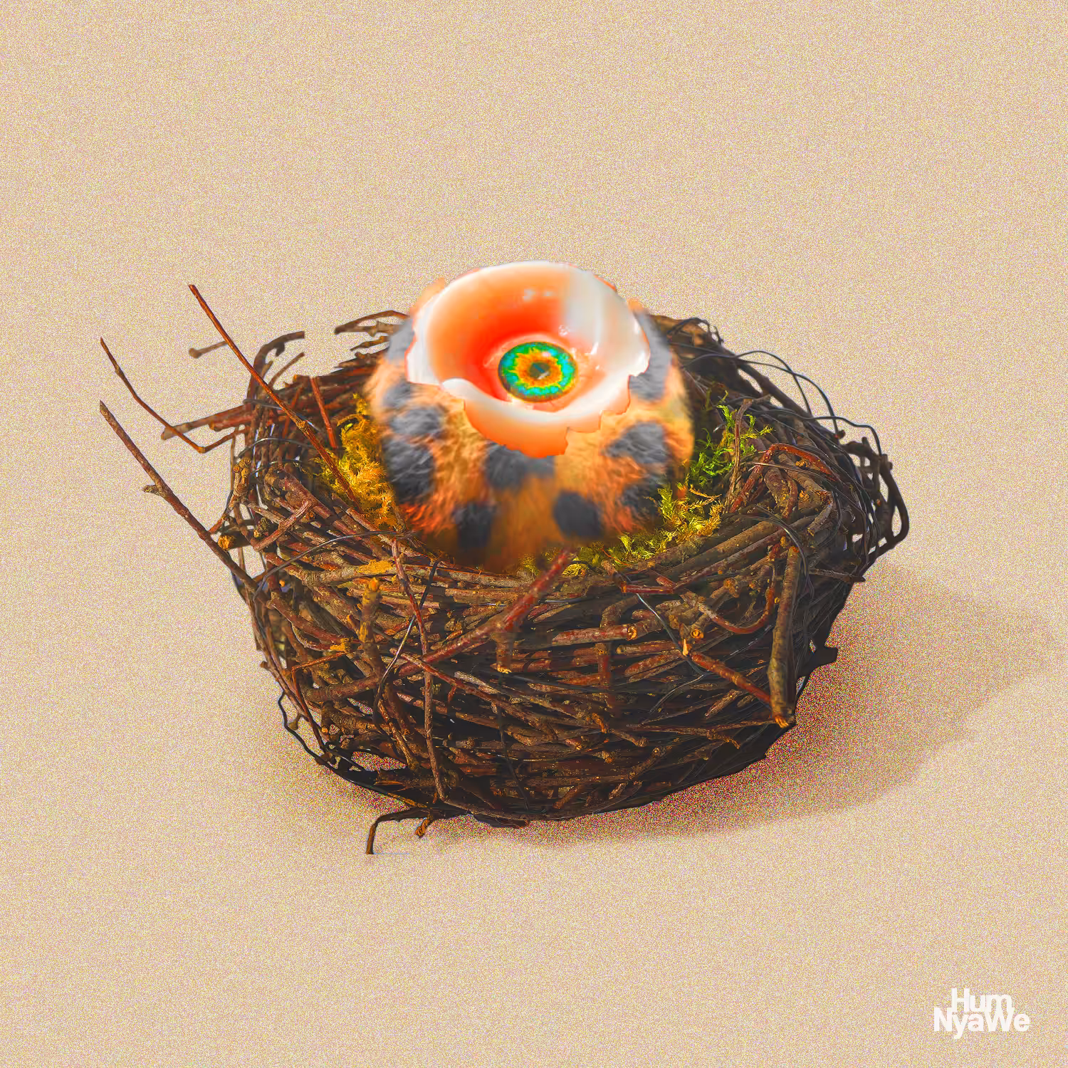Tweet