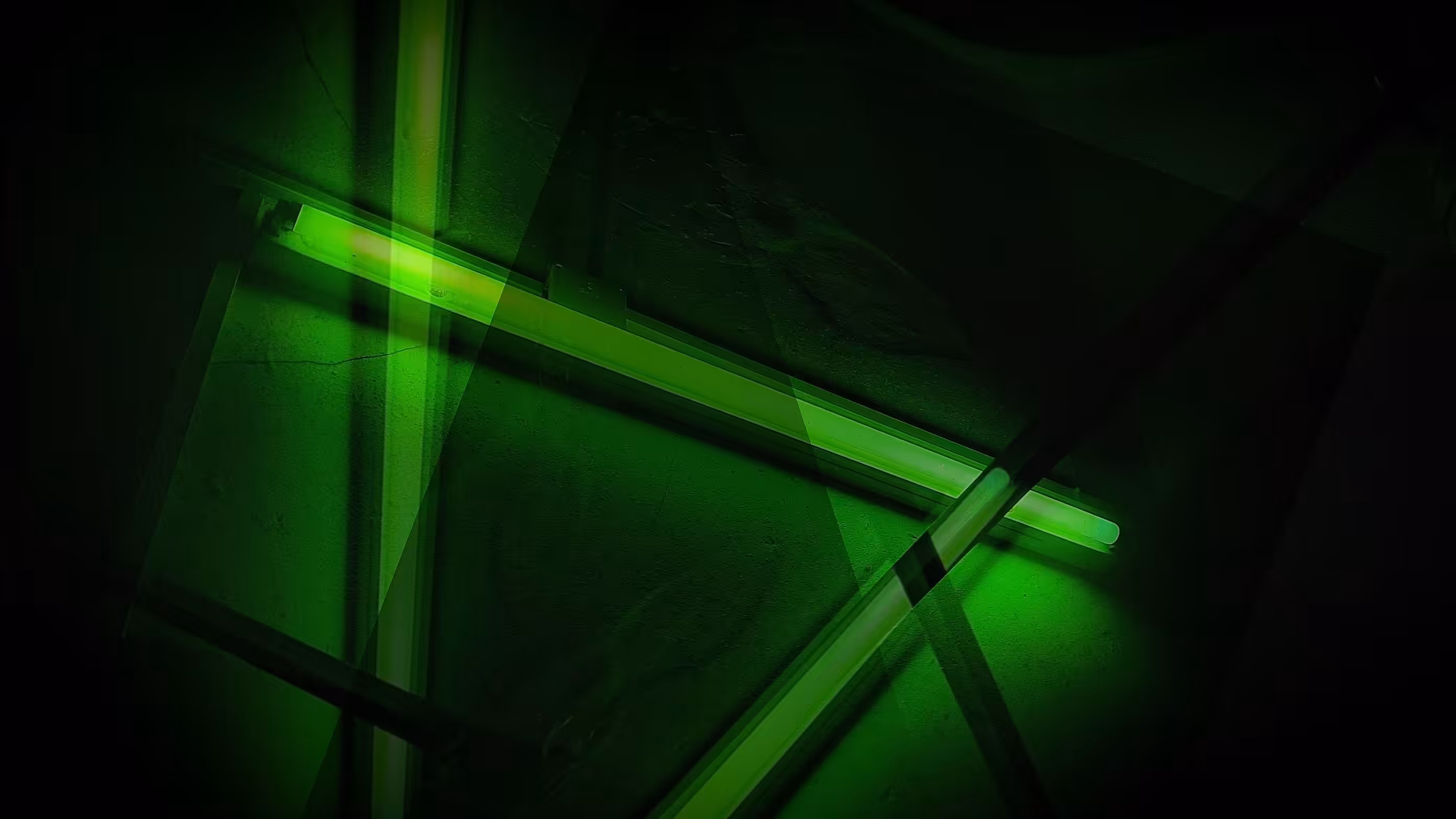 Light and Line