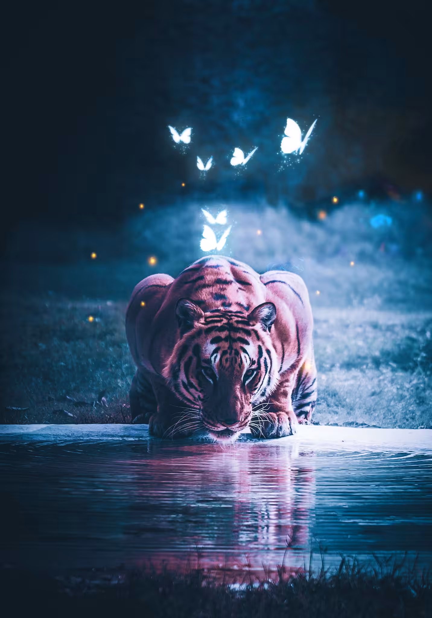 Nature Fantasy