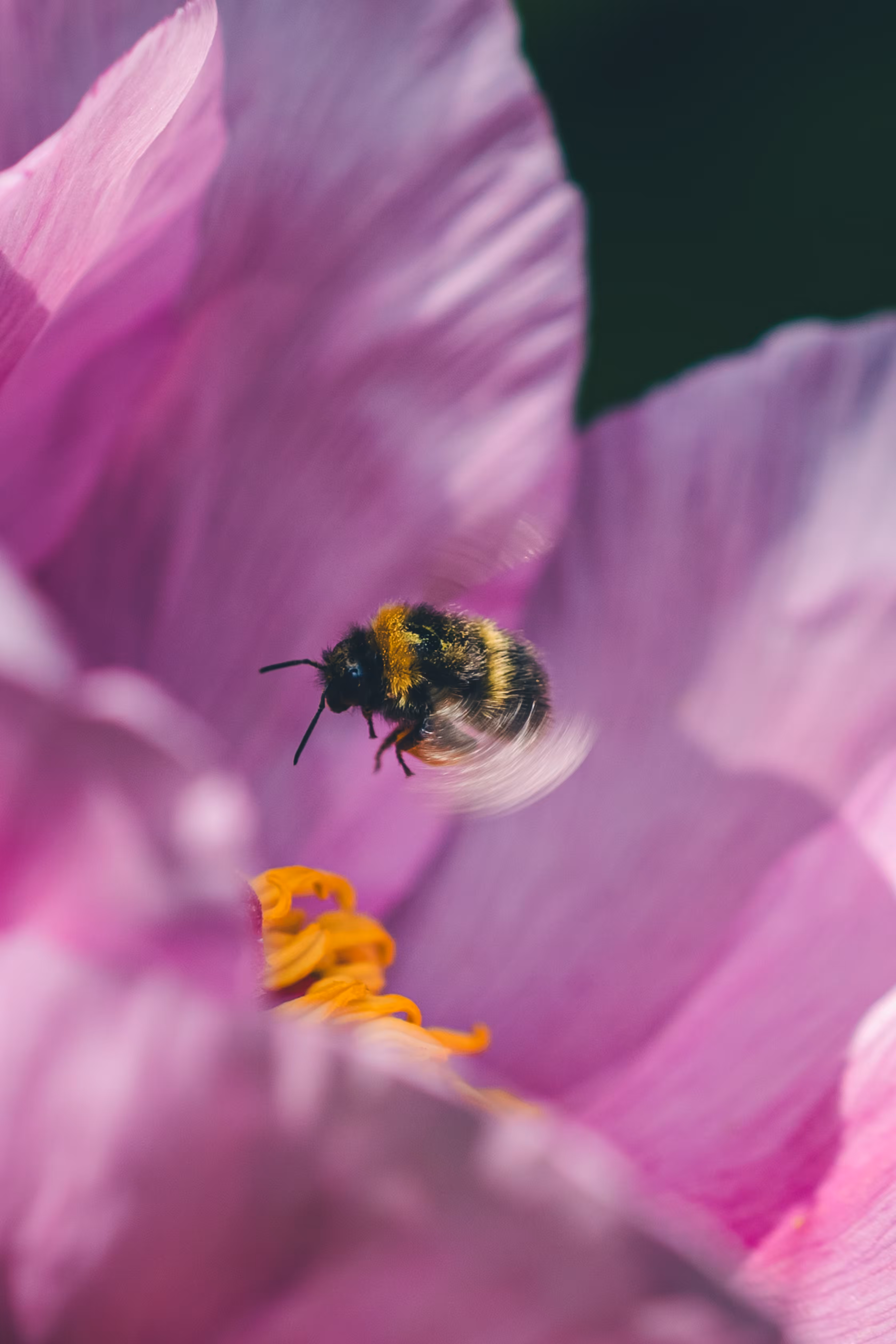 Fleeting