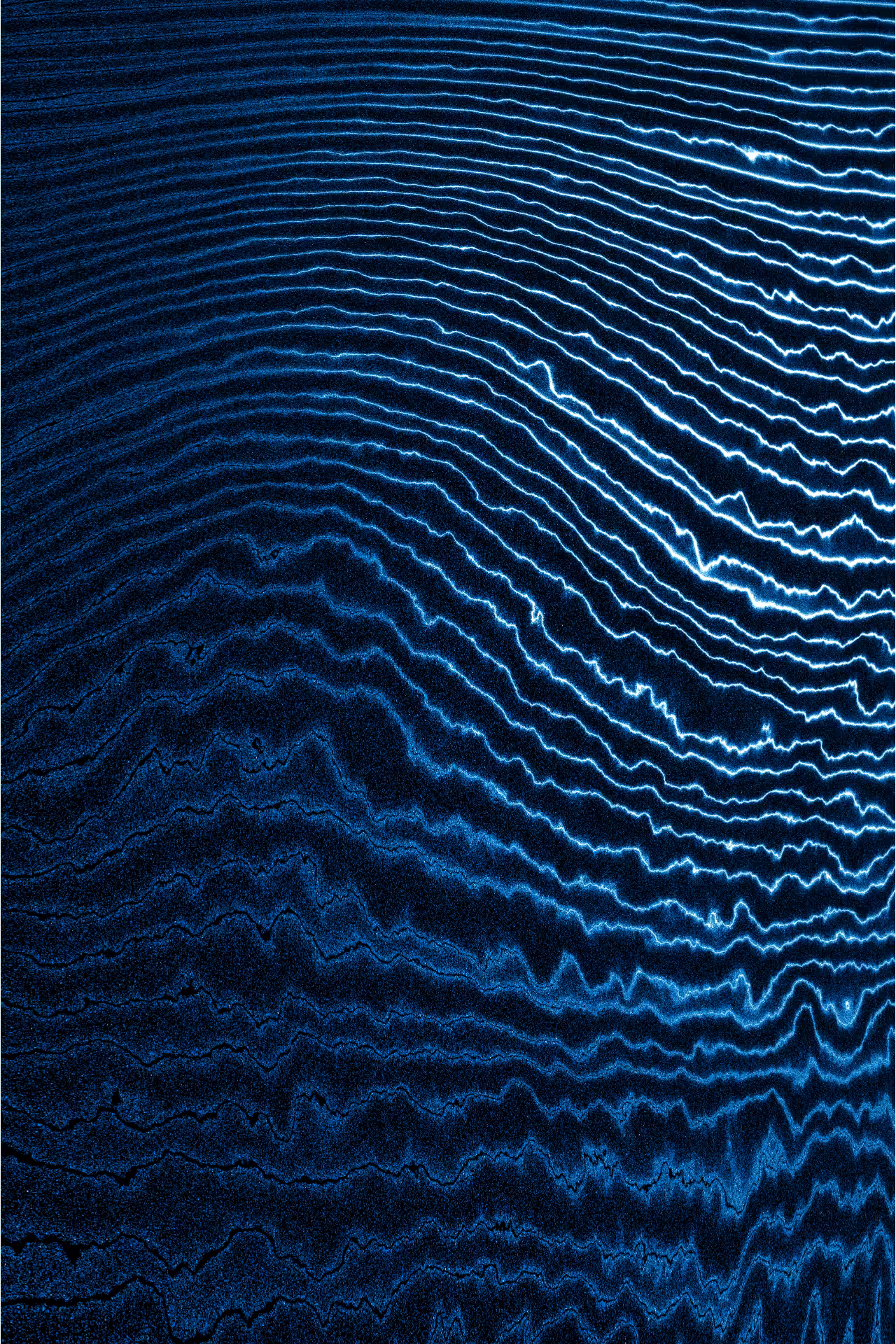 Linear Perturbations #79