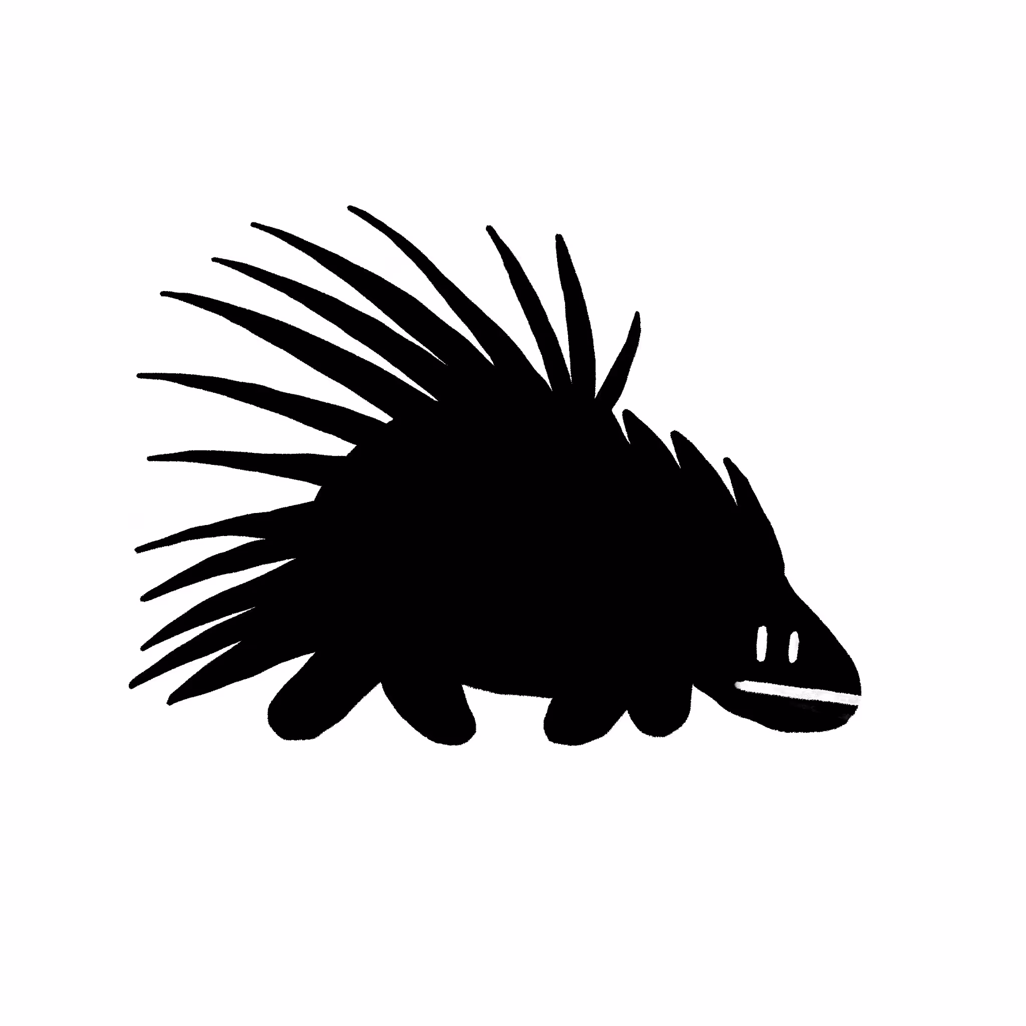 Insolent Porcupine