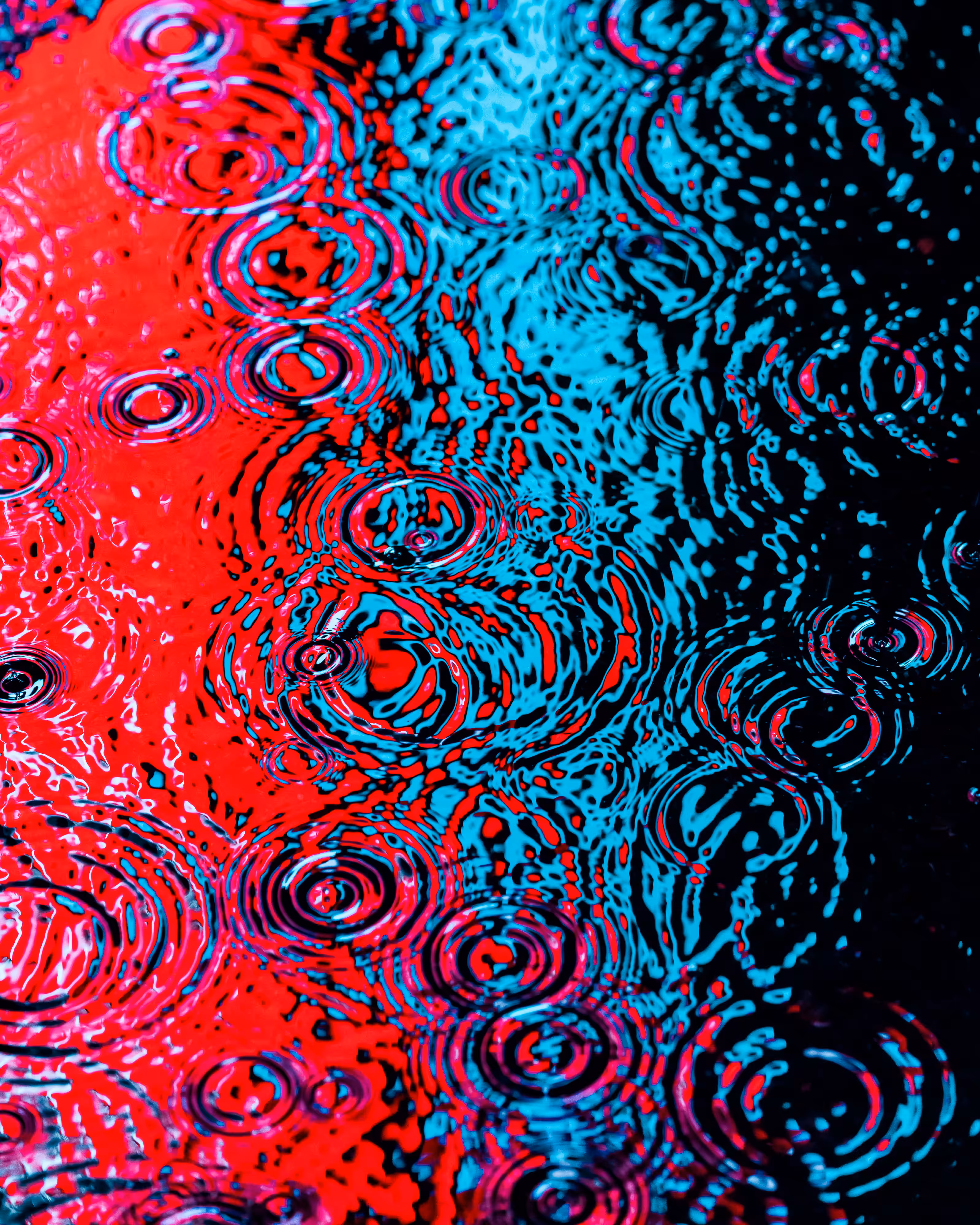 DRIP DROP: DRIP #311