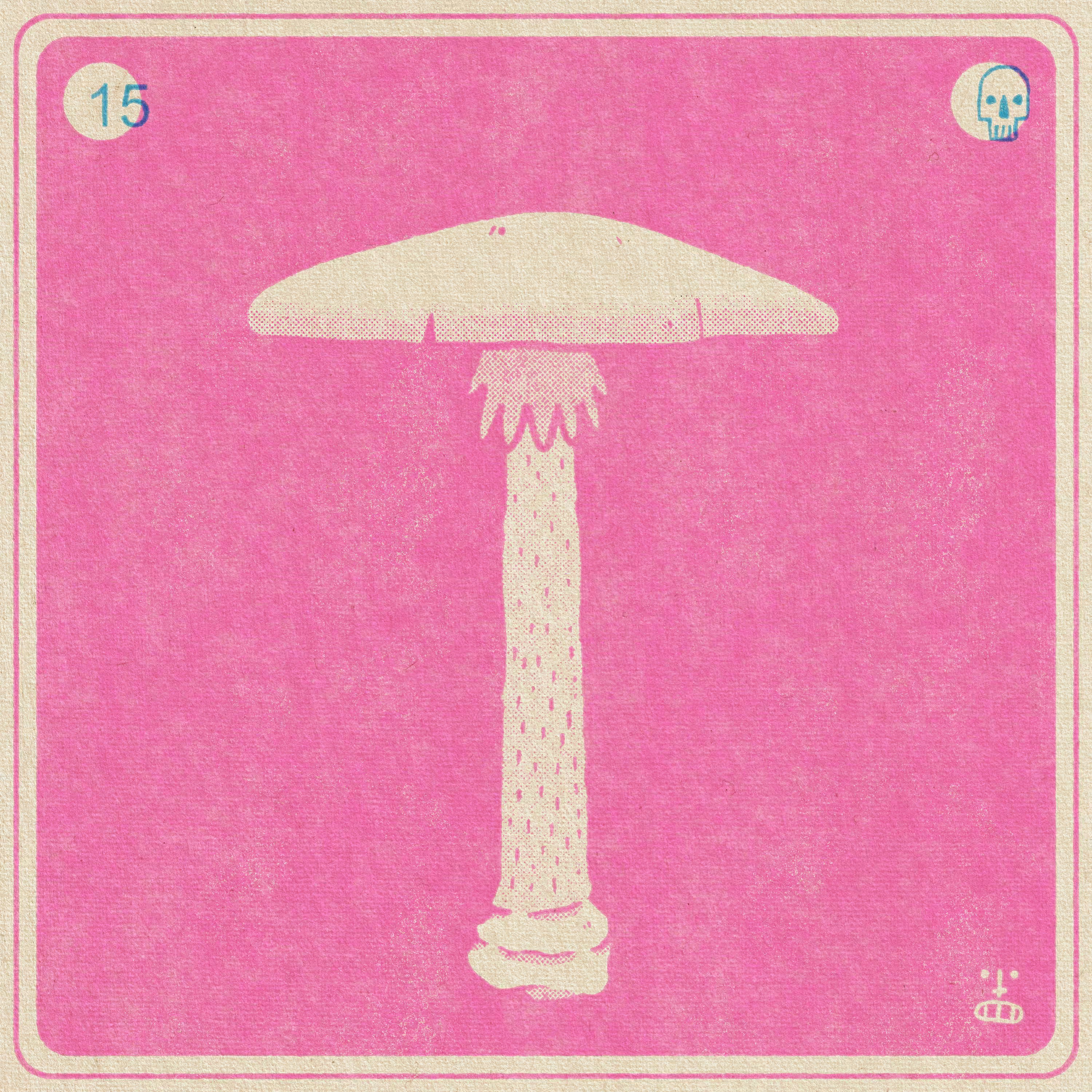 15- Amanita bisporigera (Destroying Angel)