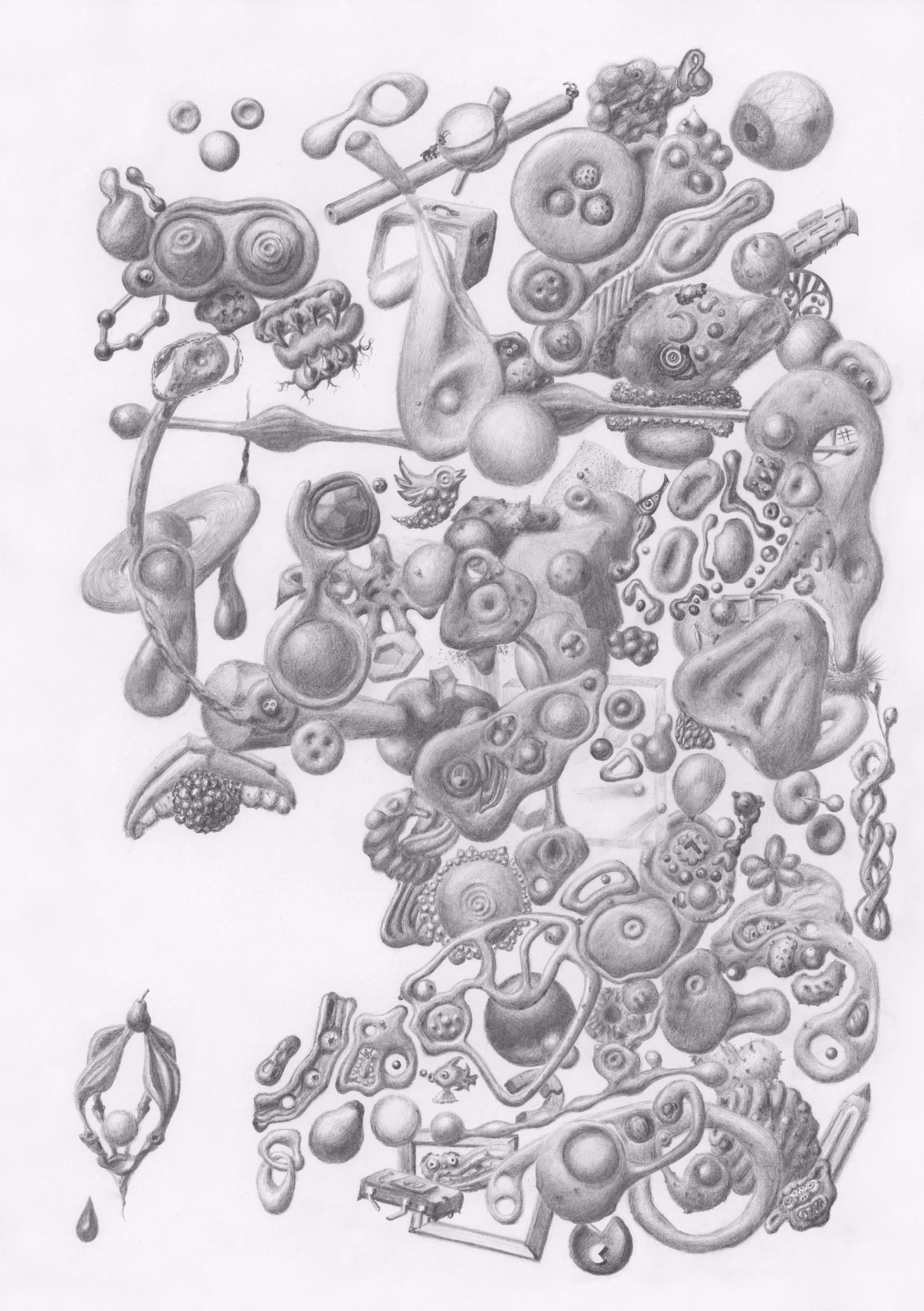 #236
