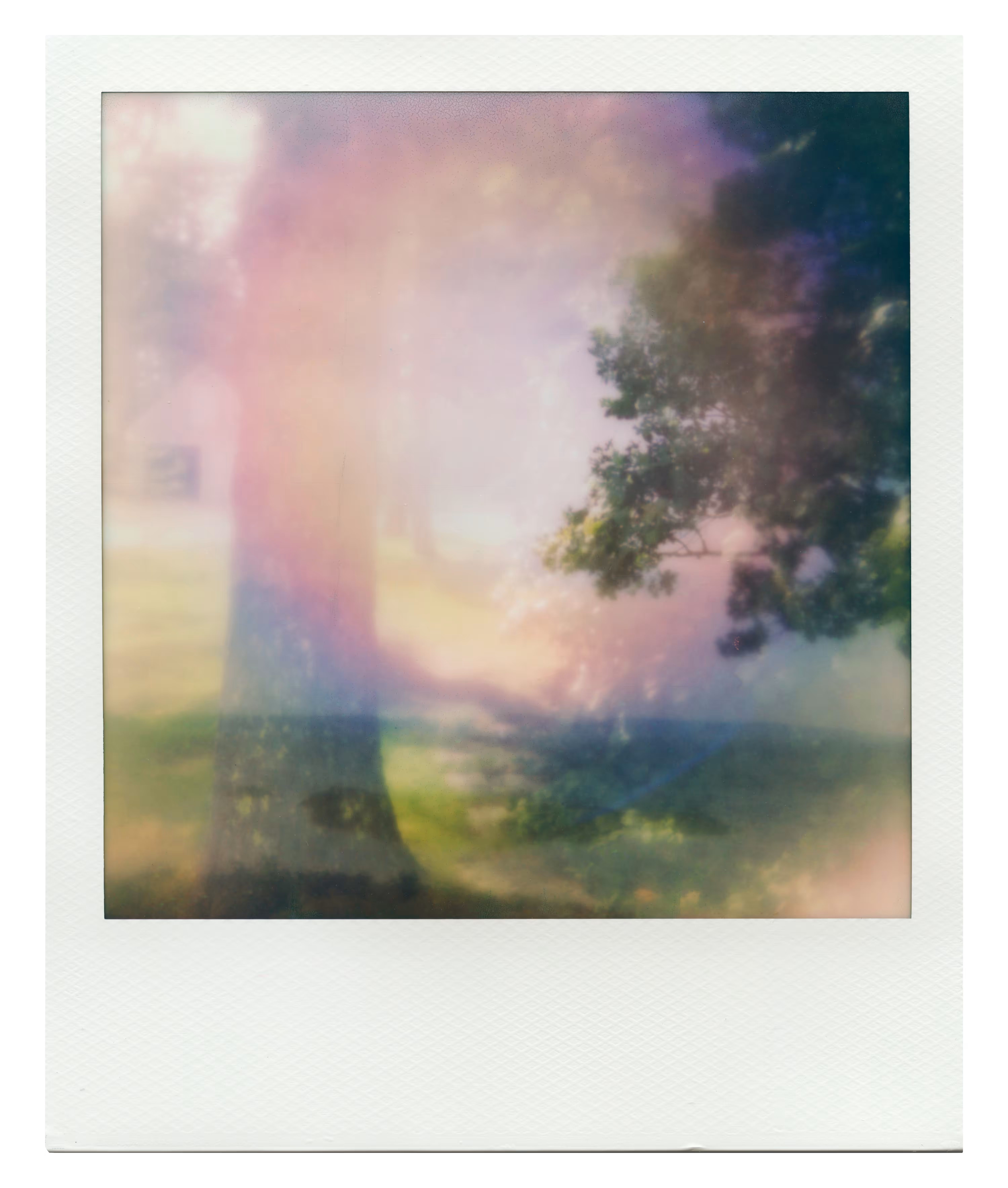 Endless Summer  |  52  | Manifestation