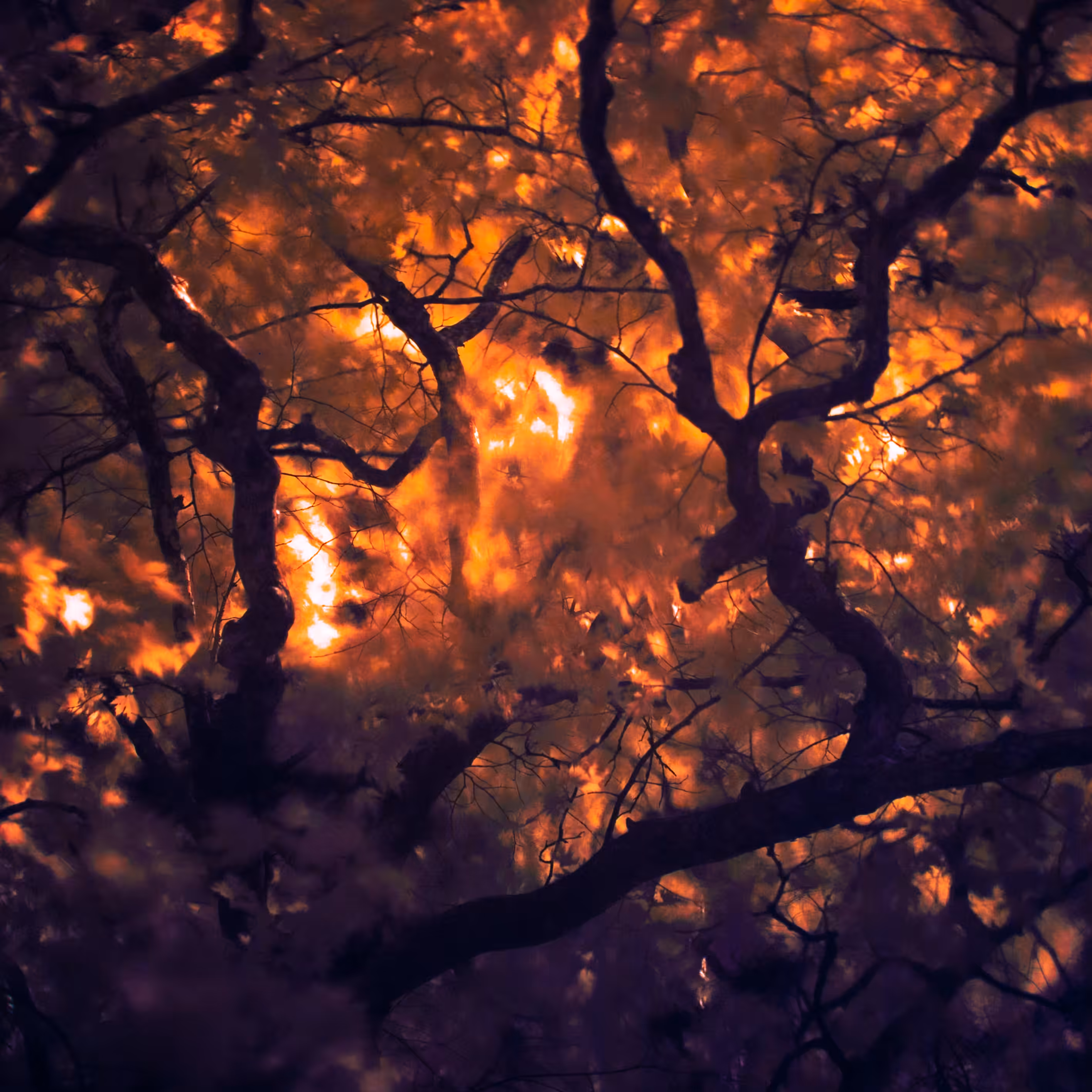 Between Two Worlds #1
