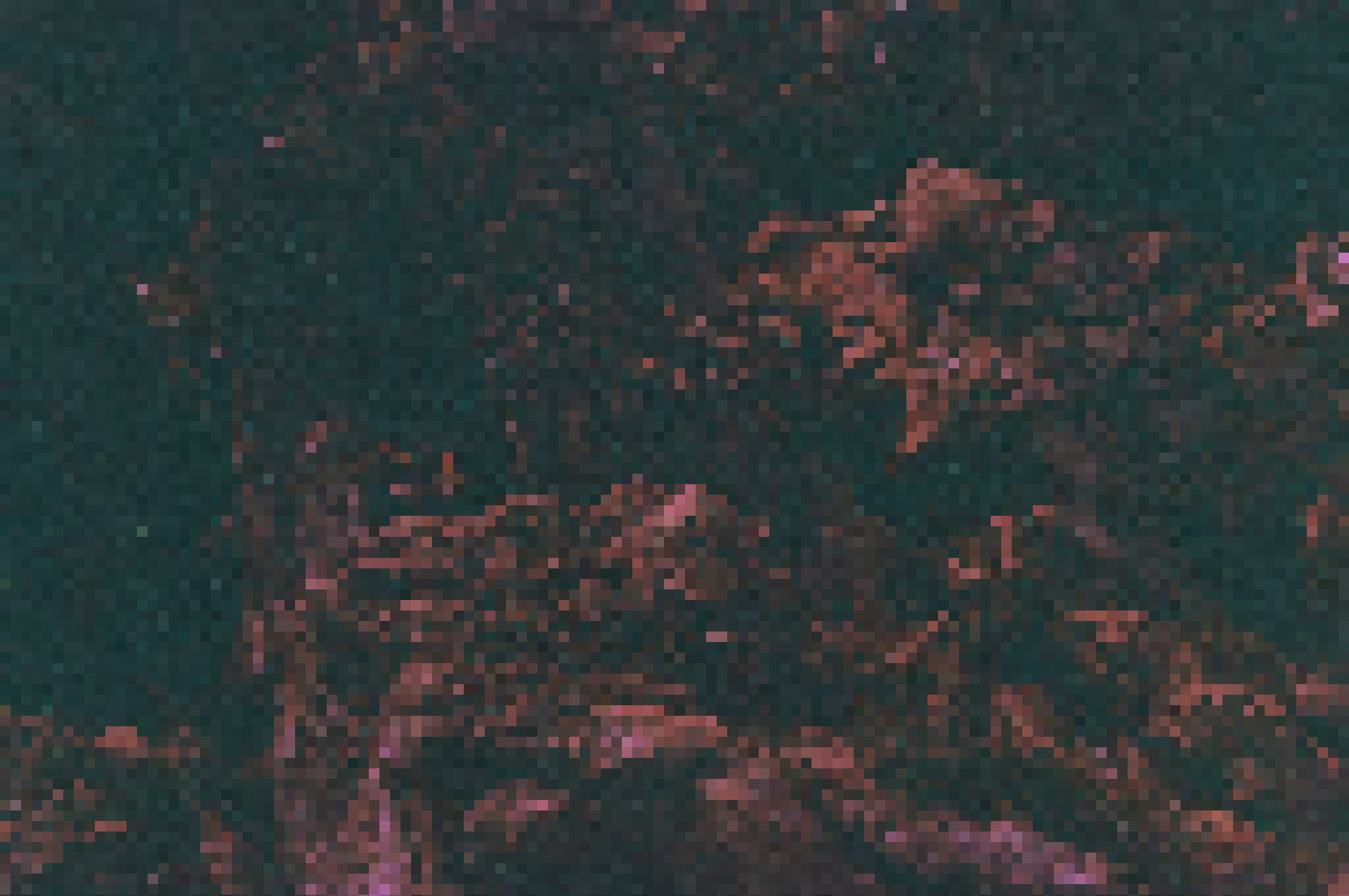 PDLG-1