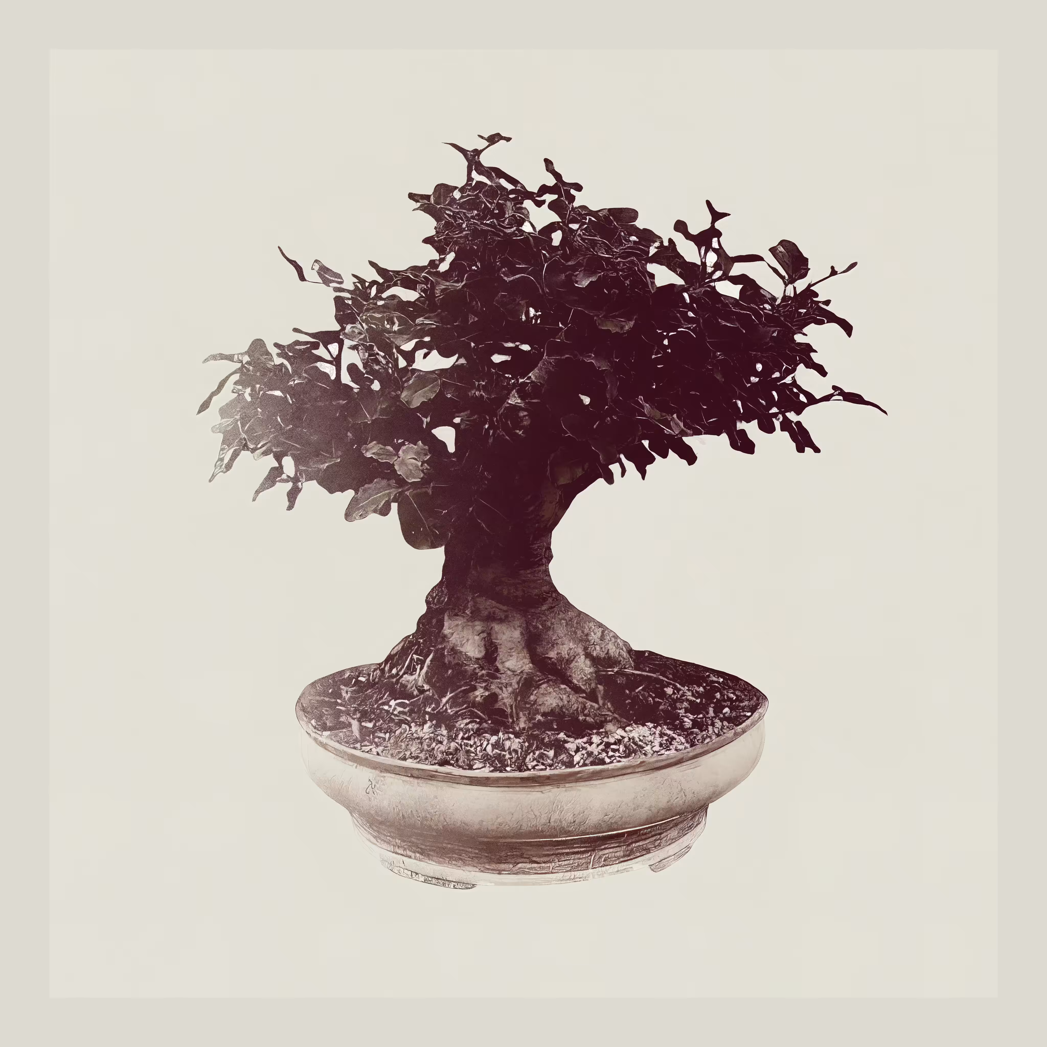generative Carob Bonzai tree