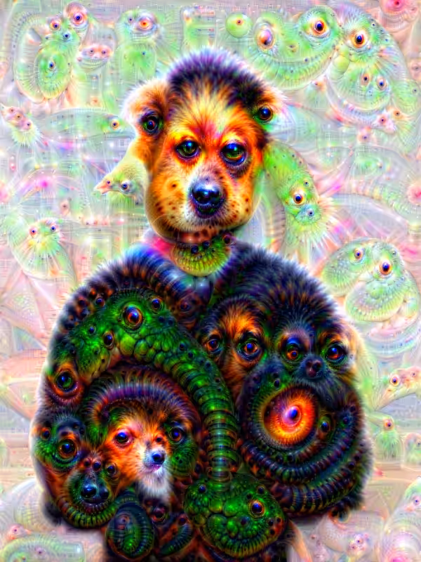 DOG-DREAMS