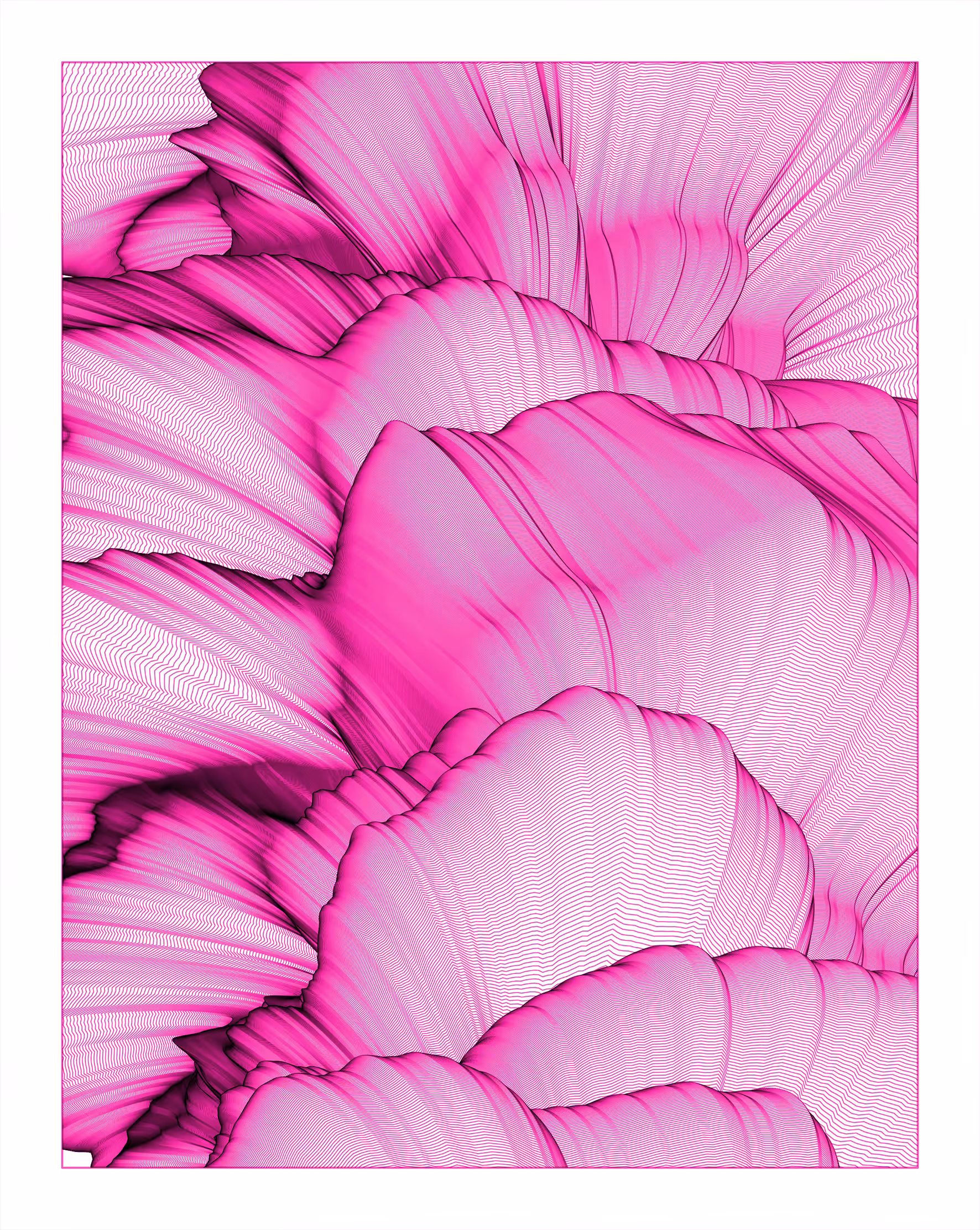 Pink Cylinder Lines 1