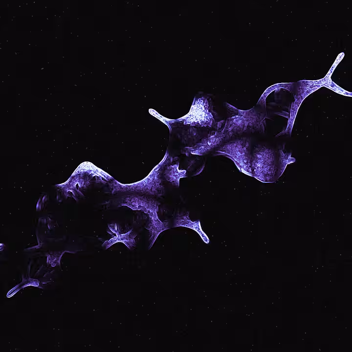 Neuron Network #001