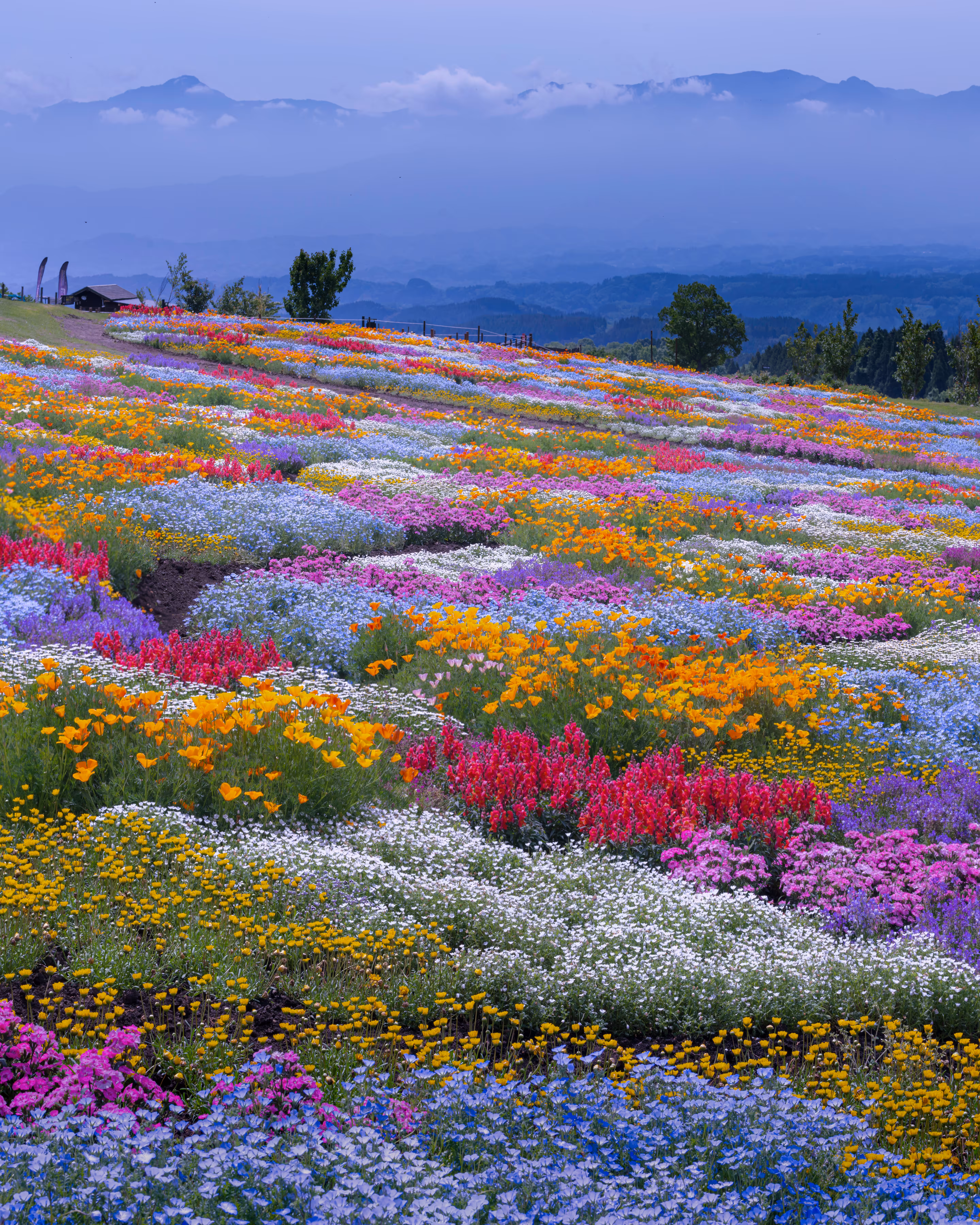 Paradise in the high land
