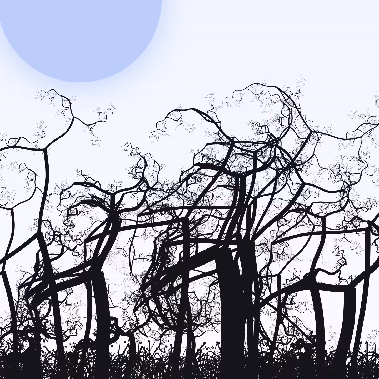 Wildwood Forest #230