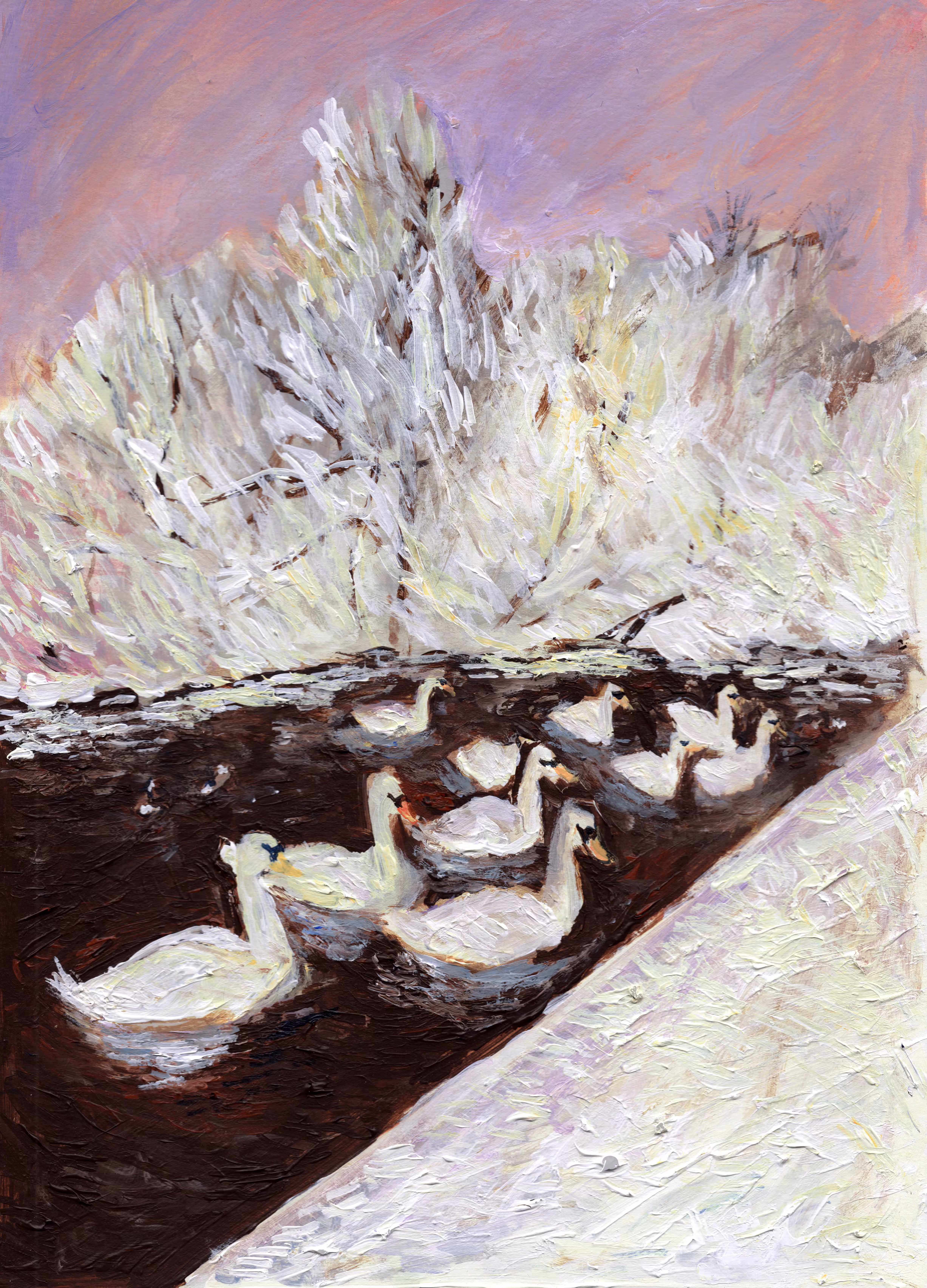 Lake of the Swans