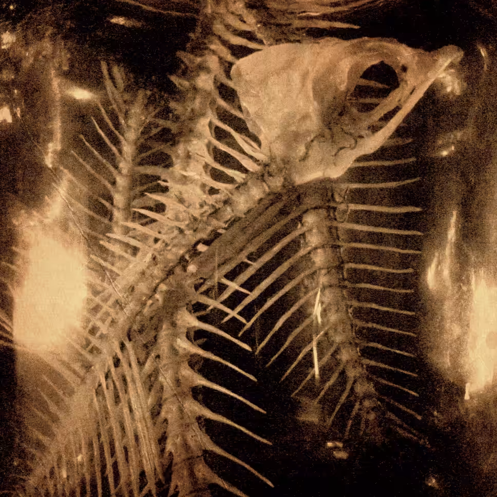 a recollection of memories upon the passage of time