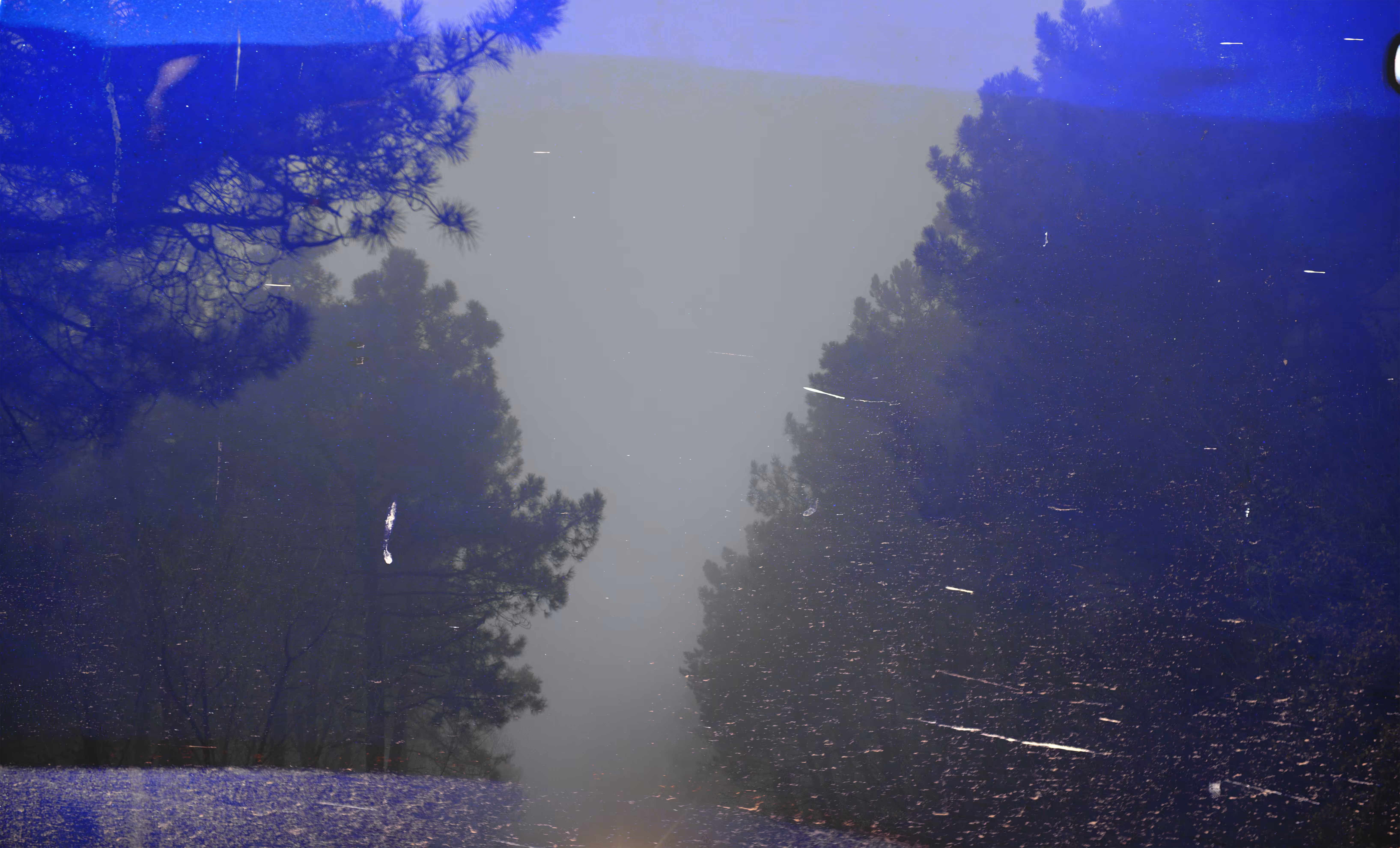 Experimental Photography