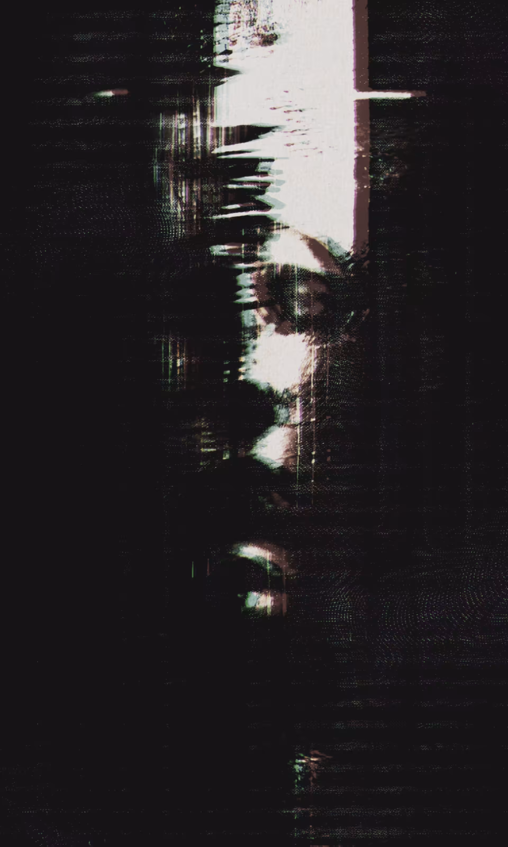 Nico Black