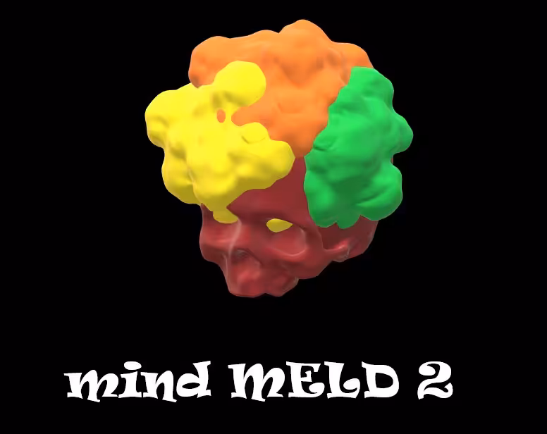 Mind-Meld 2