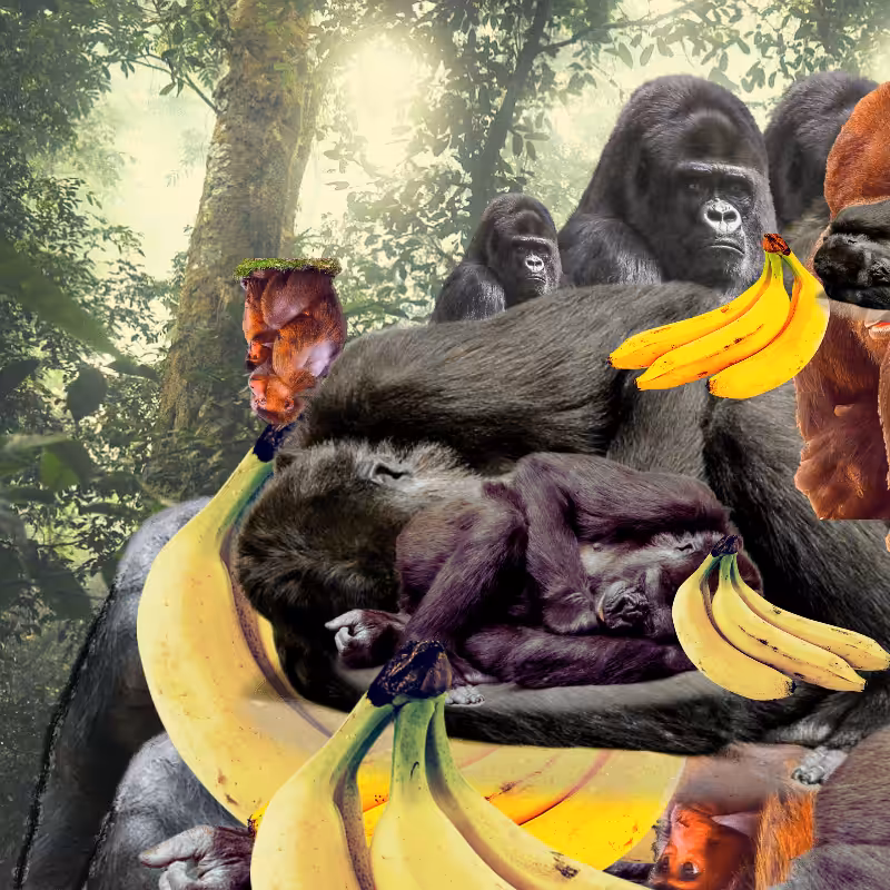 Banana #1 #26