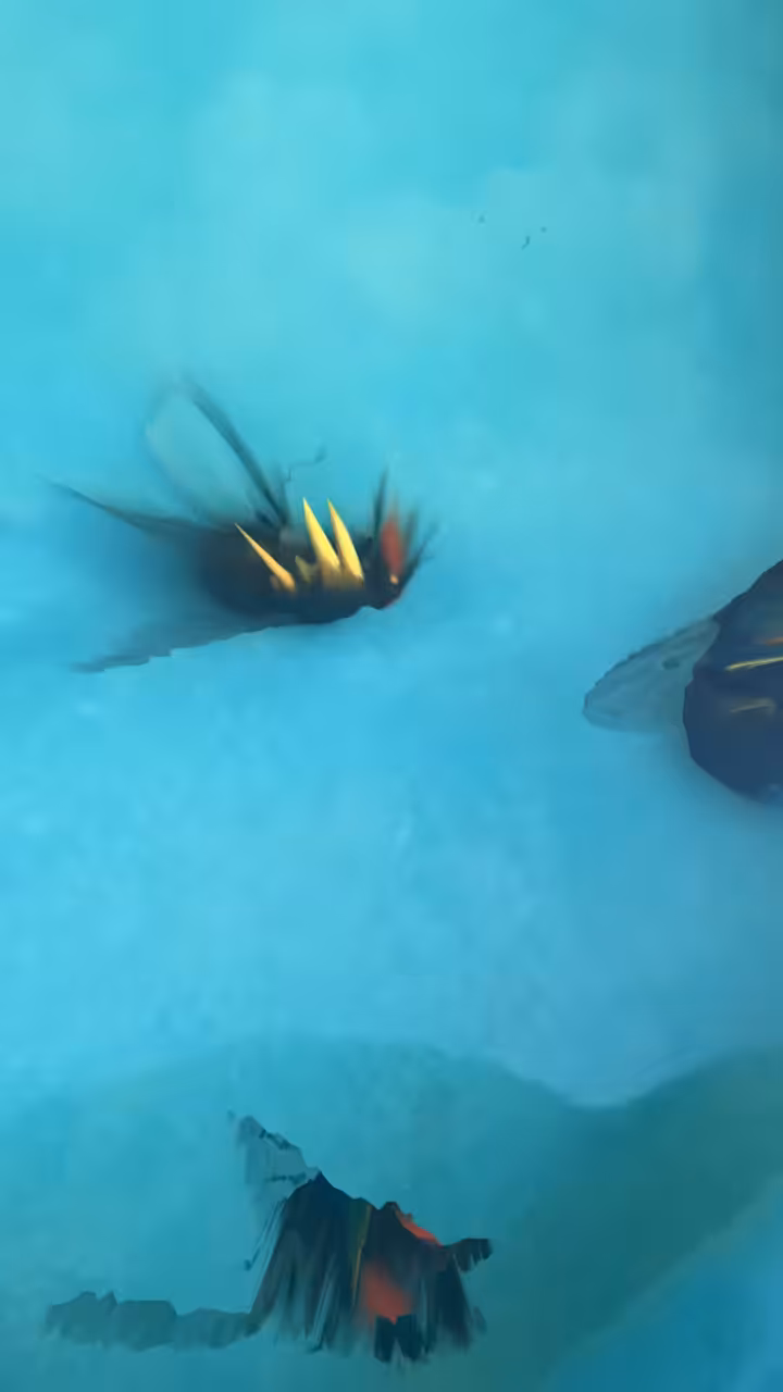 Beelzebub pool party