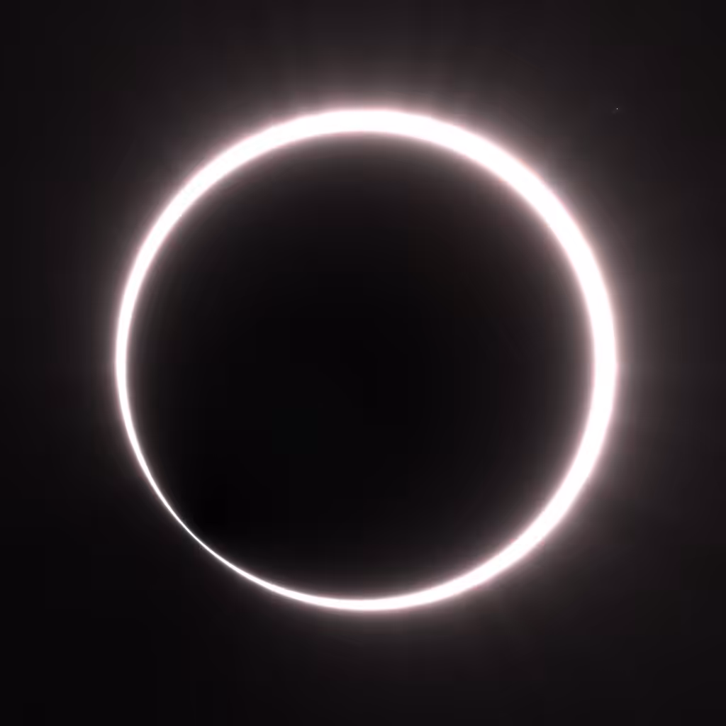 Totality #201