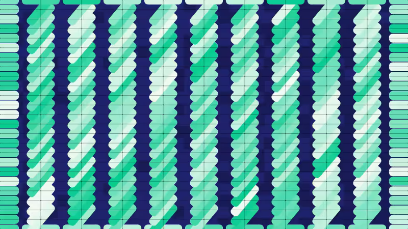 Polka #161