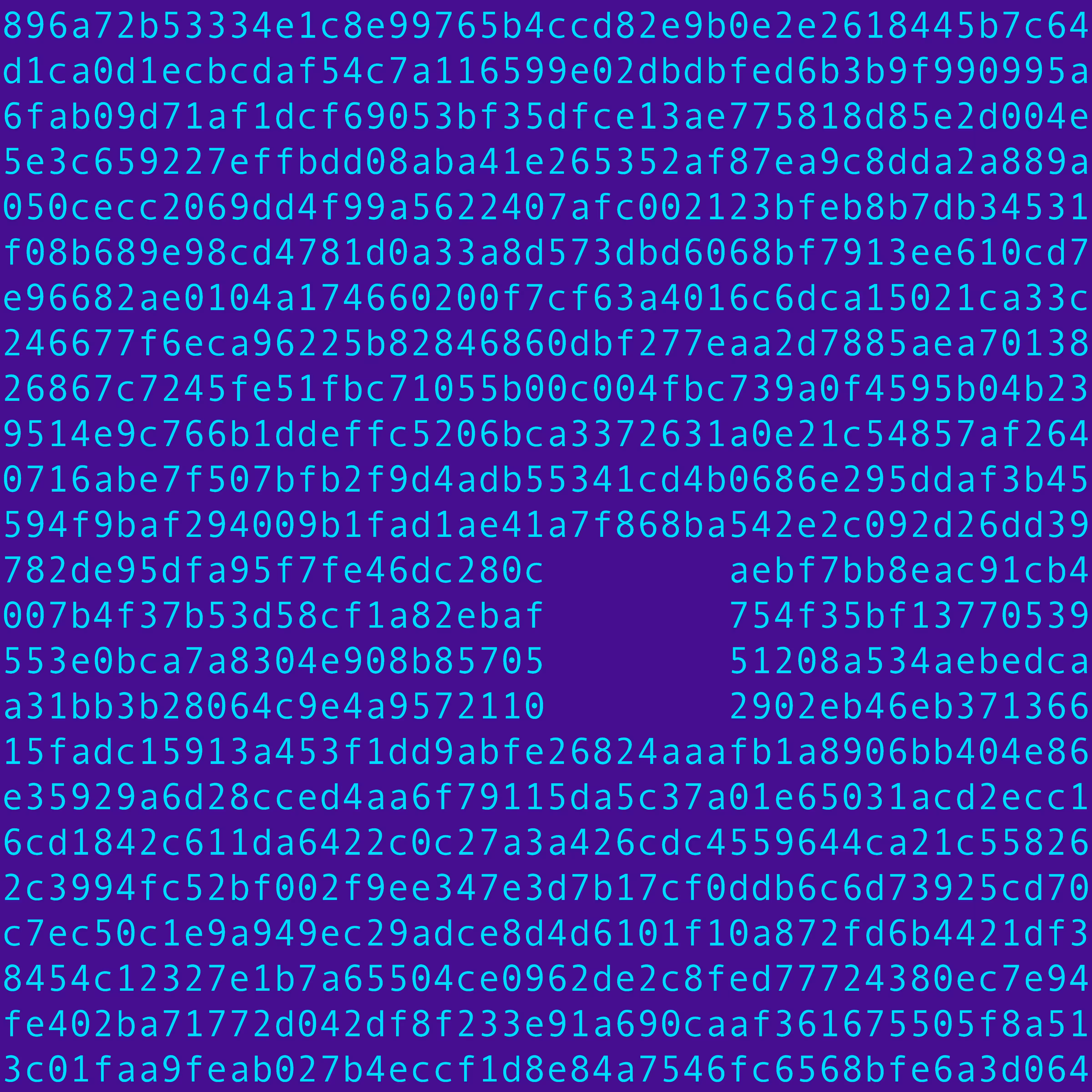 1111 #0259