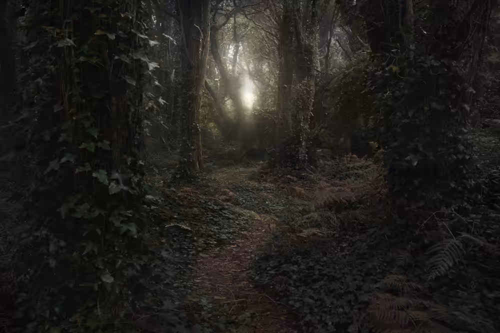 Mirkwood II - To the Hill of Sorcery