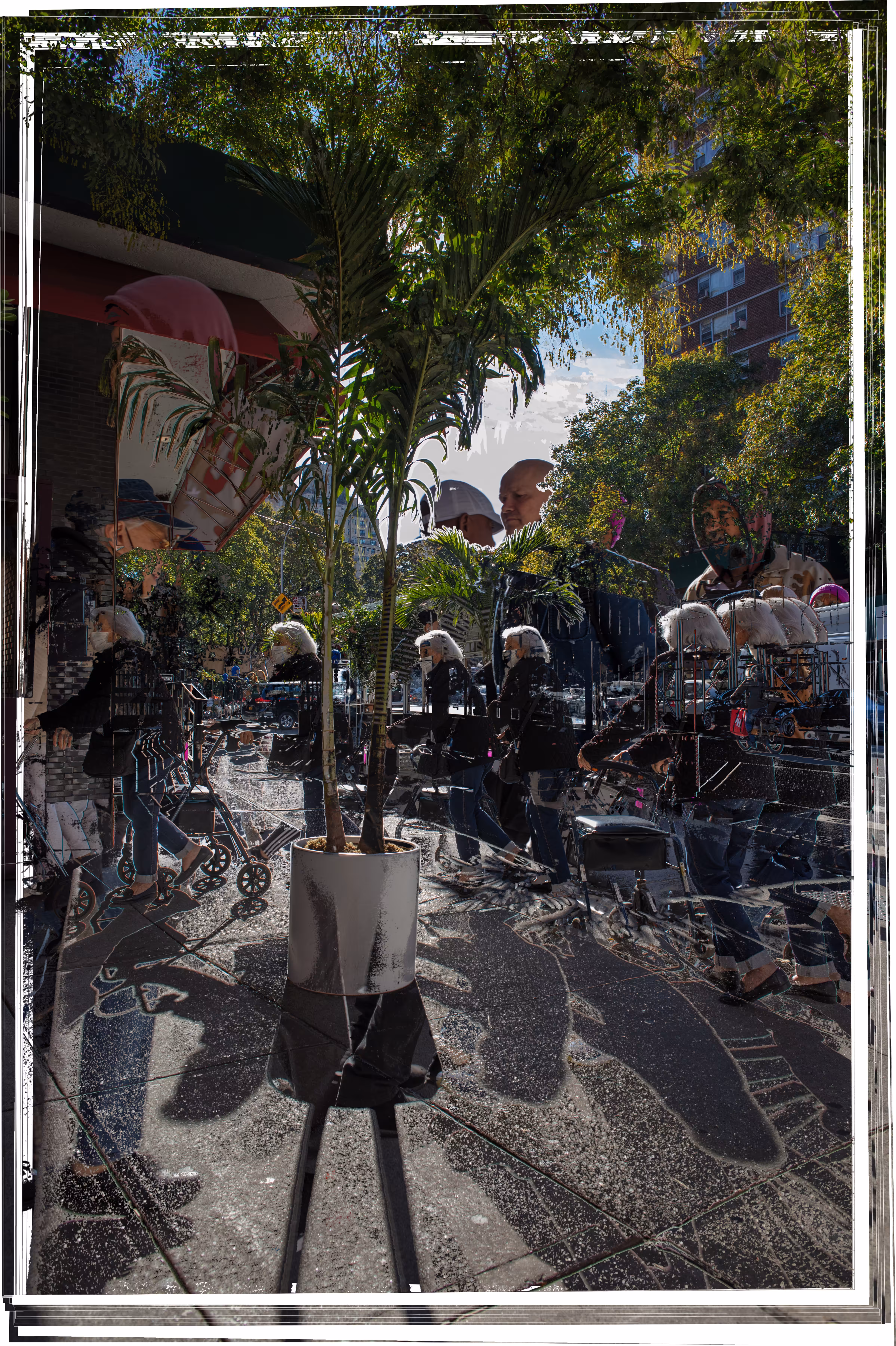 “Un-Still Life: Trees on 24th and 9th” 9/2022