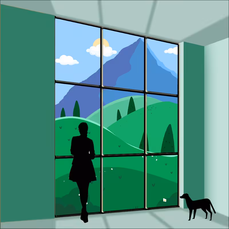 both sides of the Window #20