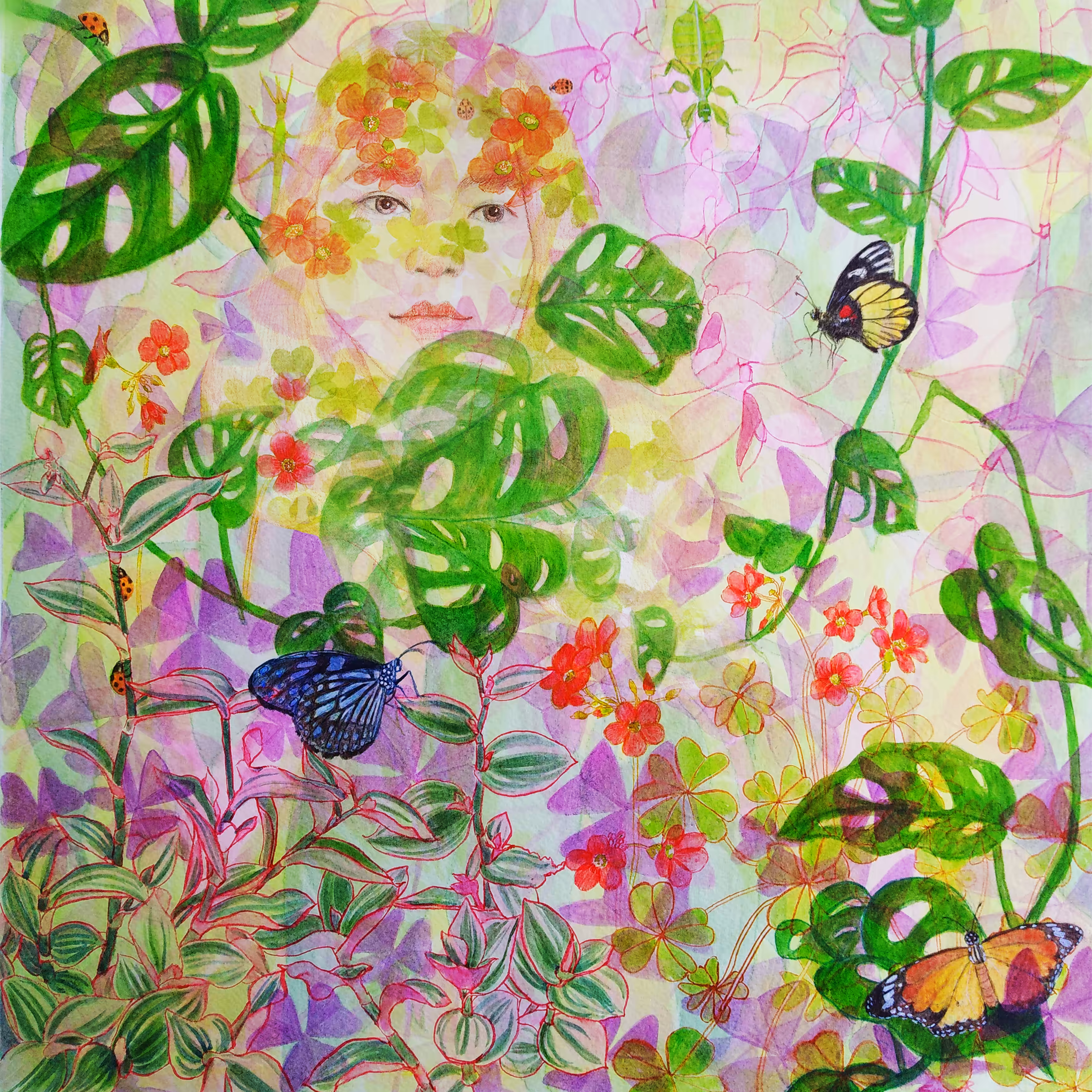Three Butterflies with Me