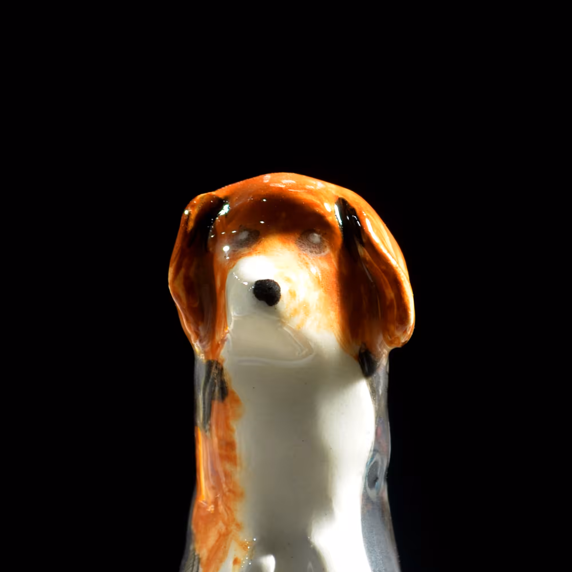 pfpup#0074