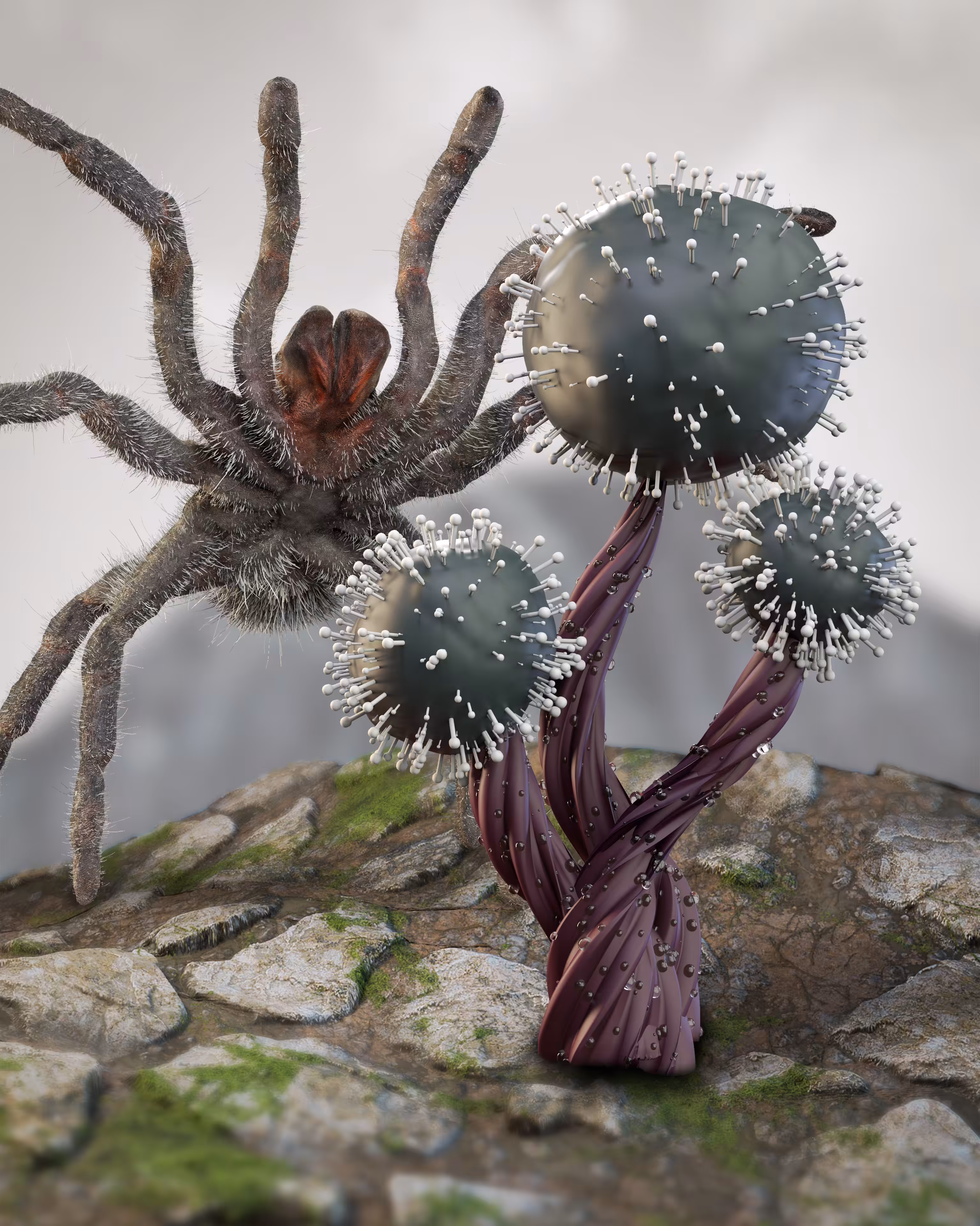 Strange Fruit #004