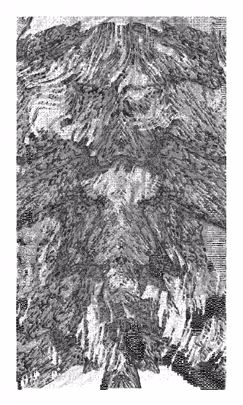 Leviathan #212