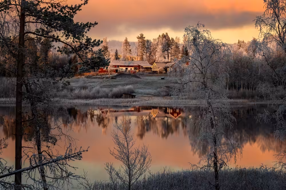 Frost