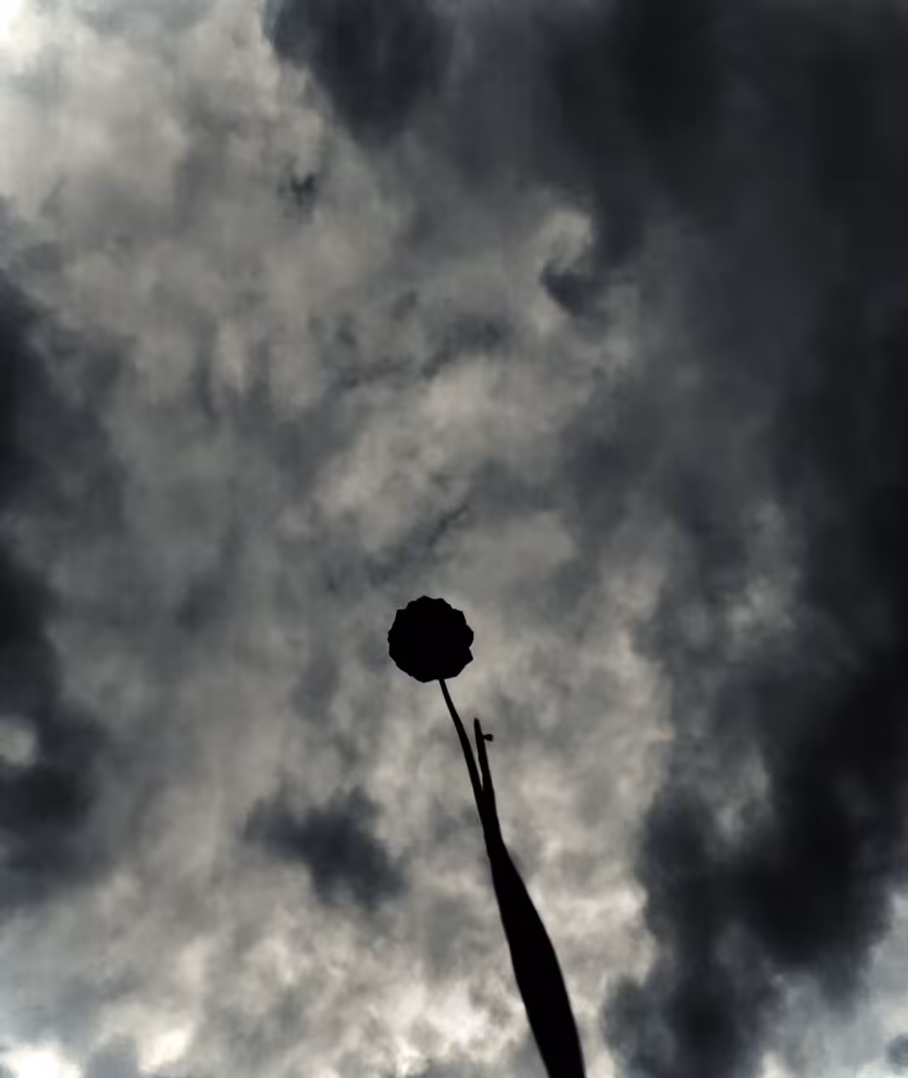 Thundercloud