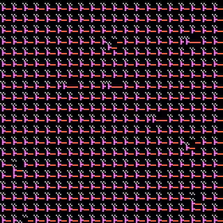CGA Safari #51