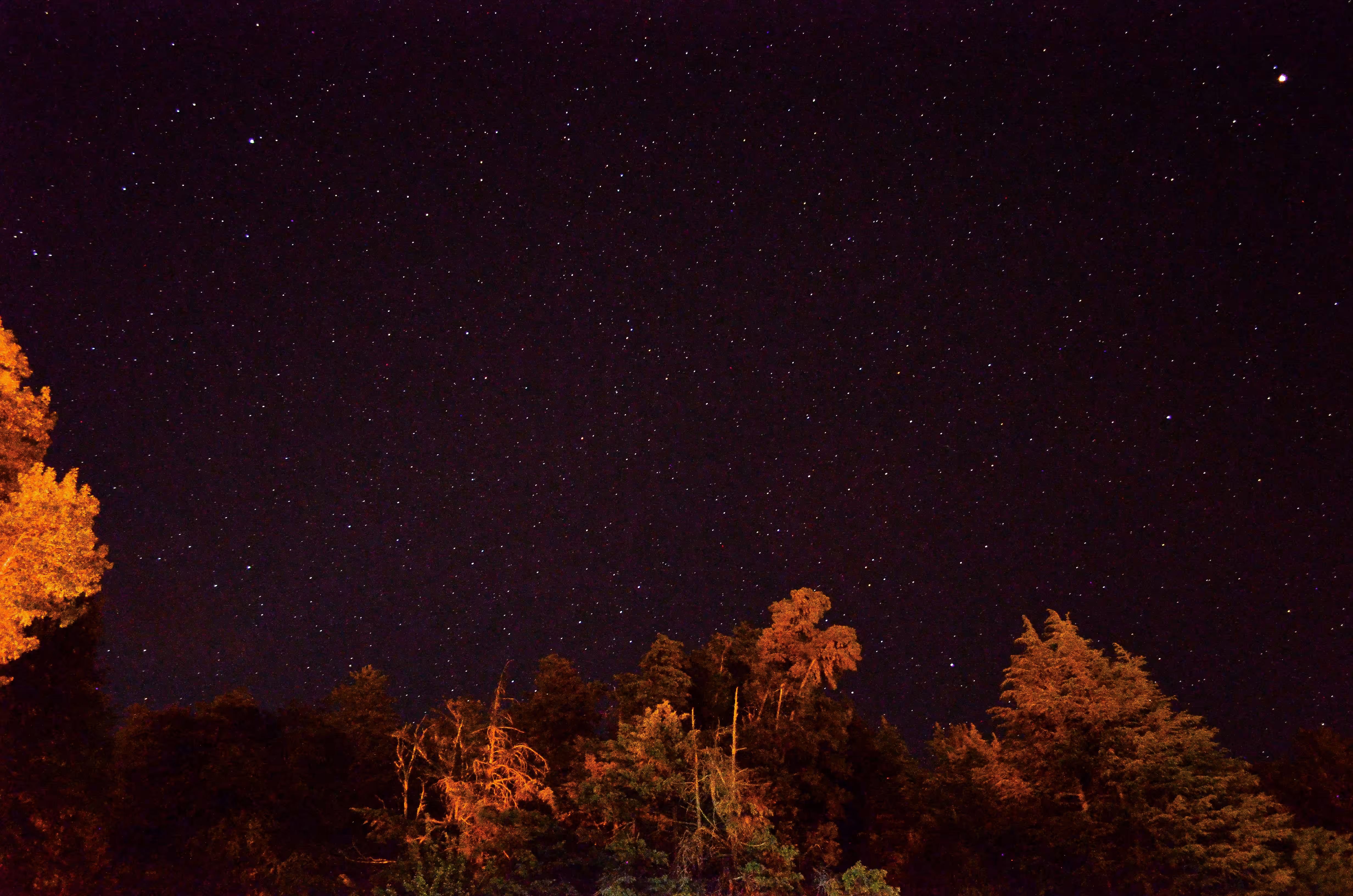 the starry night