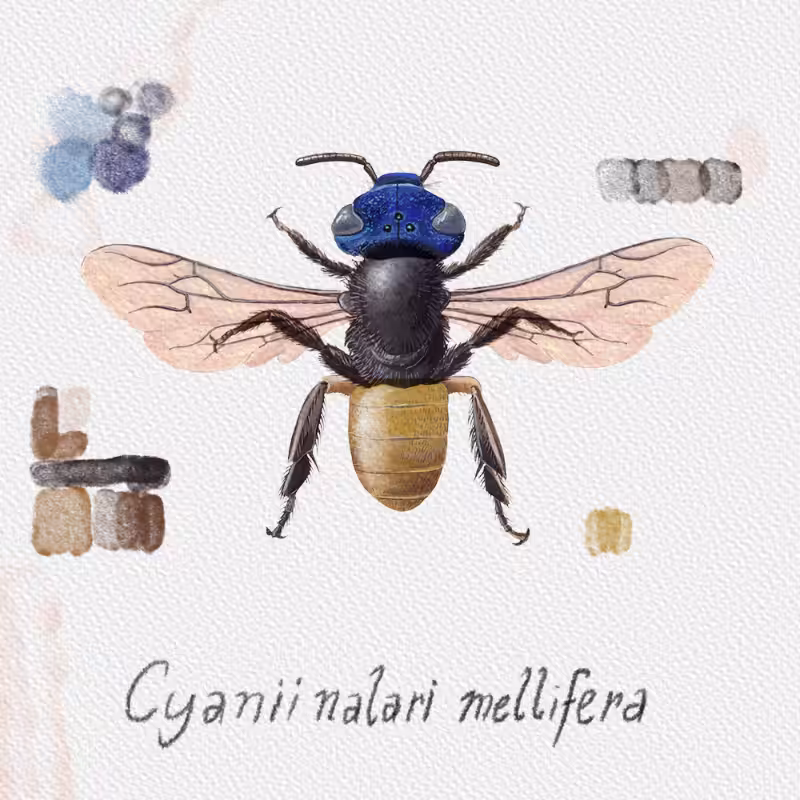 Randomic Brazilian Bees  #29