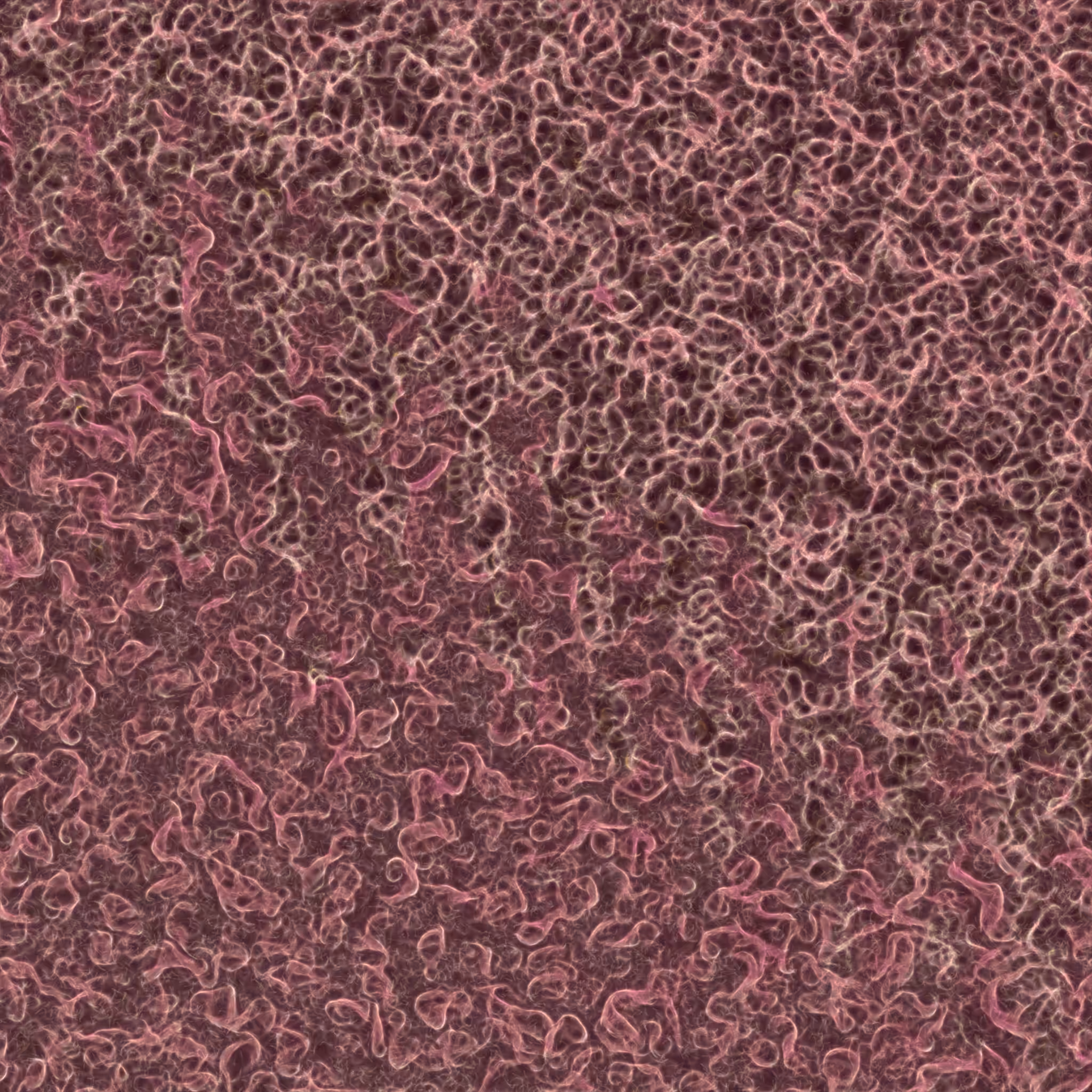 saprophyte #82