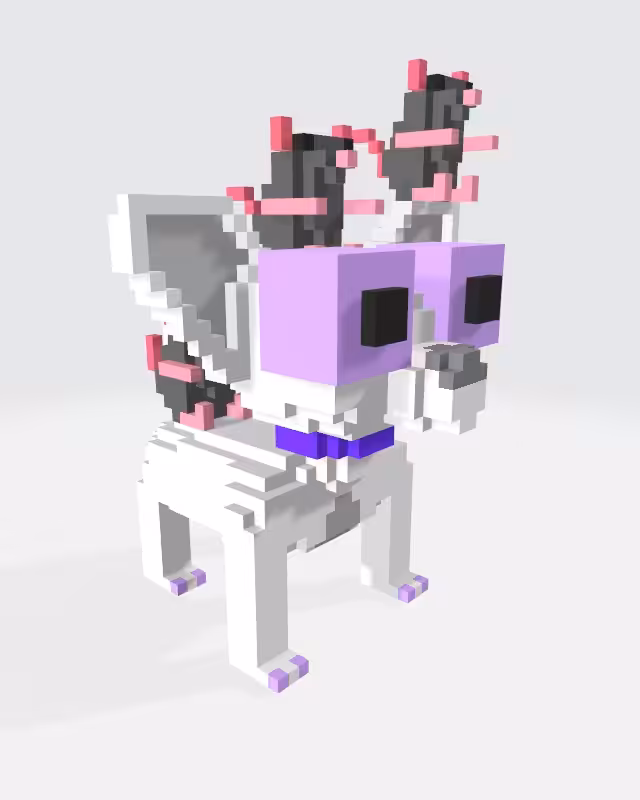 Pet sitter