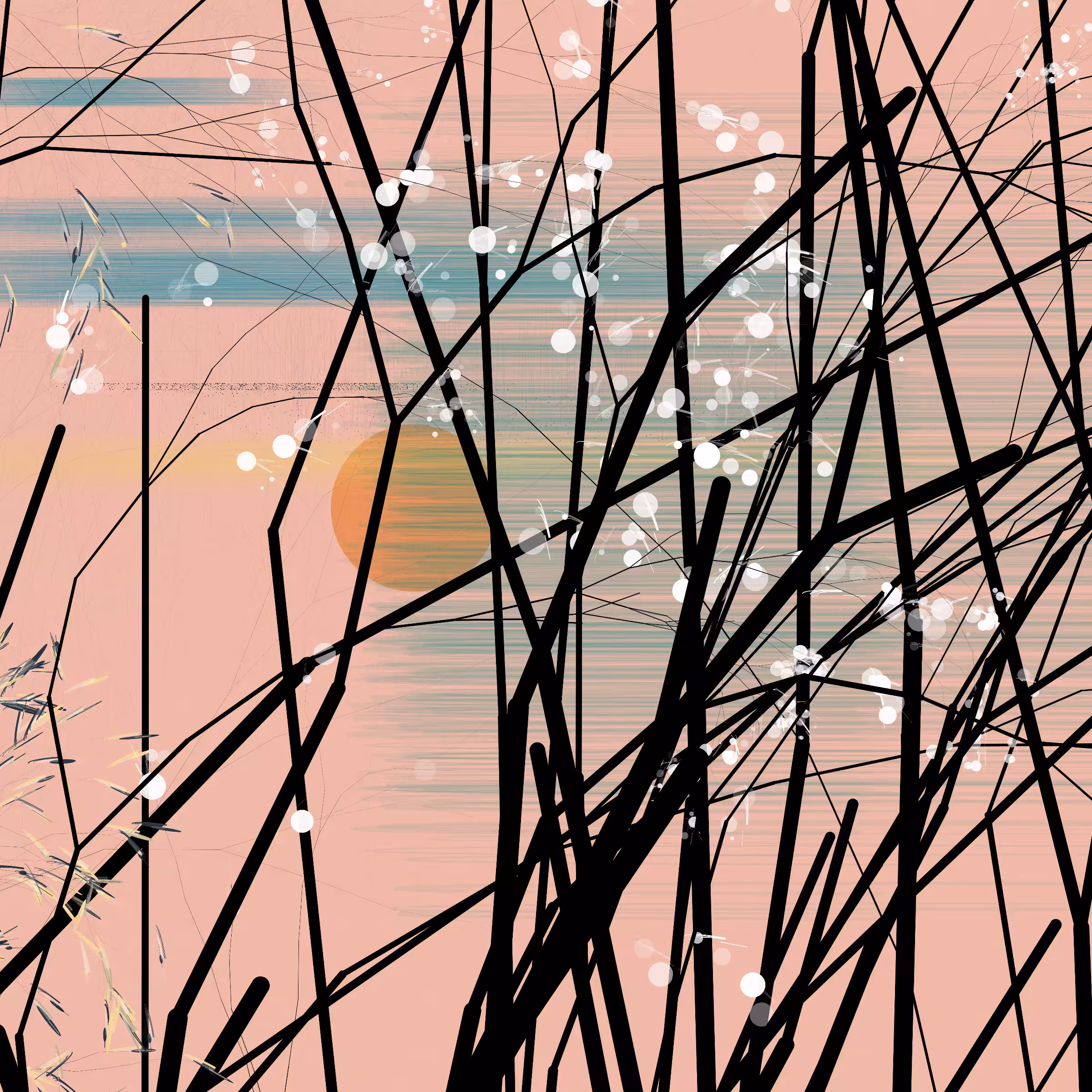 conversation with the wind #760